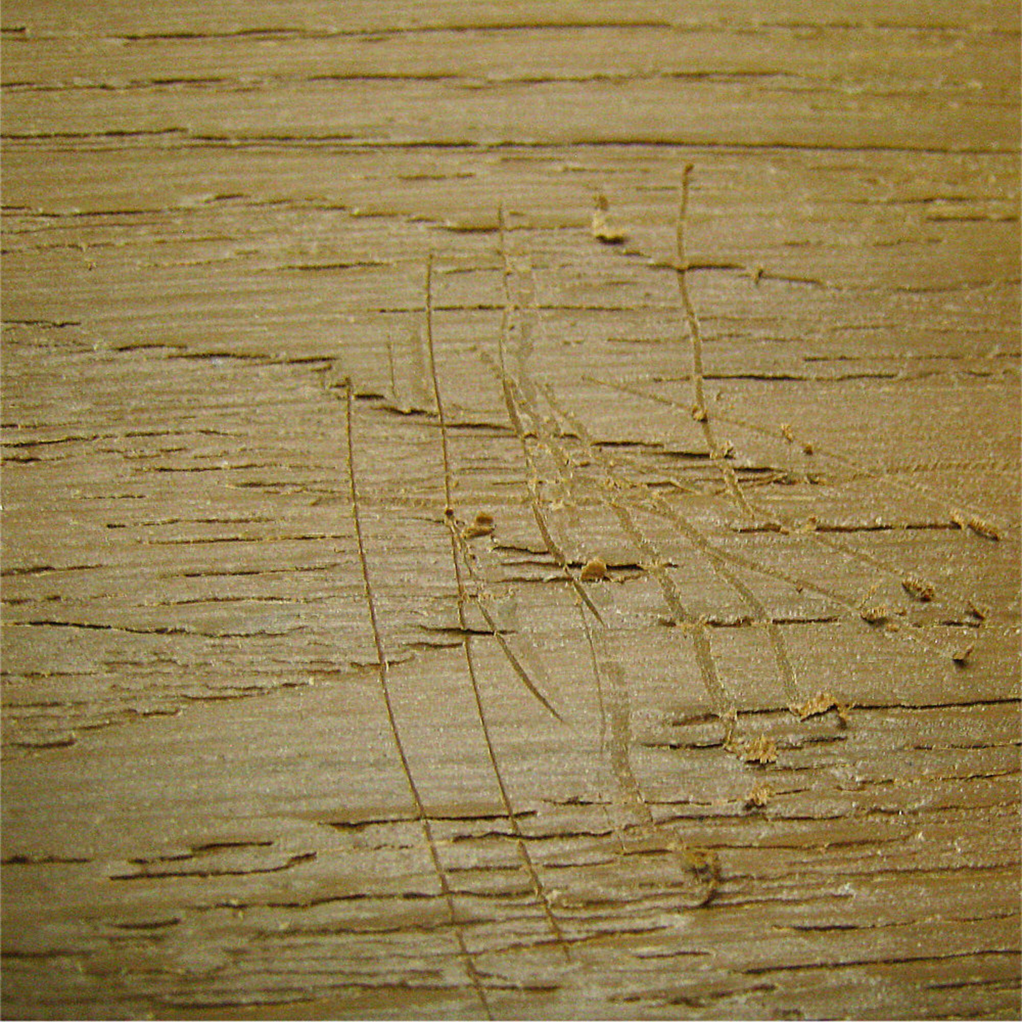 NewTechWood DR-TK Deck-Accents - View #6