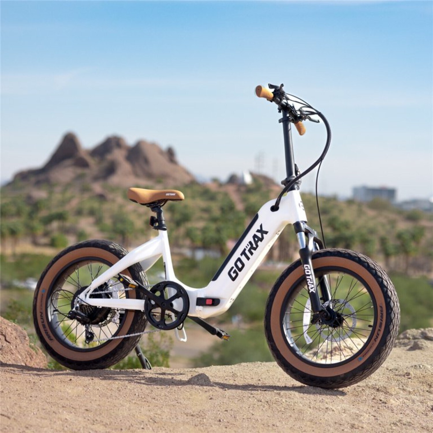 GOTRAX GT-F5500FD-WGM bikes - View #7