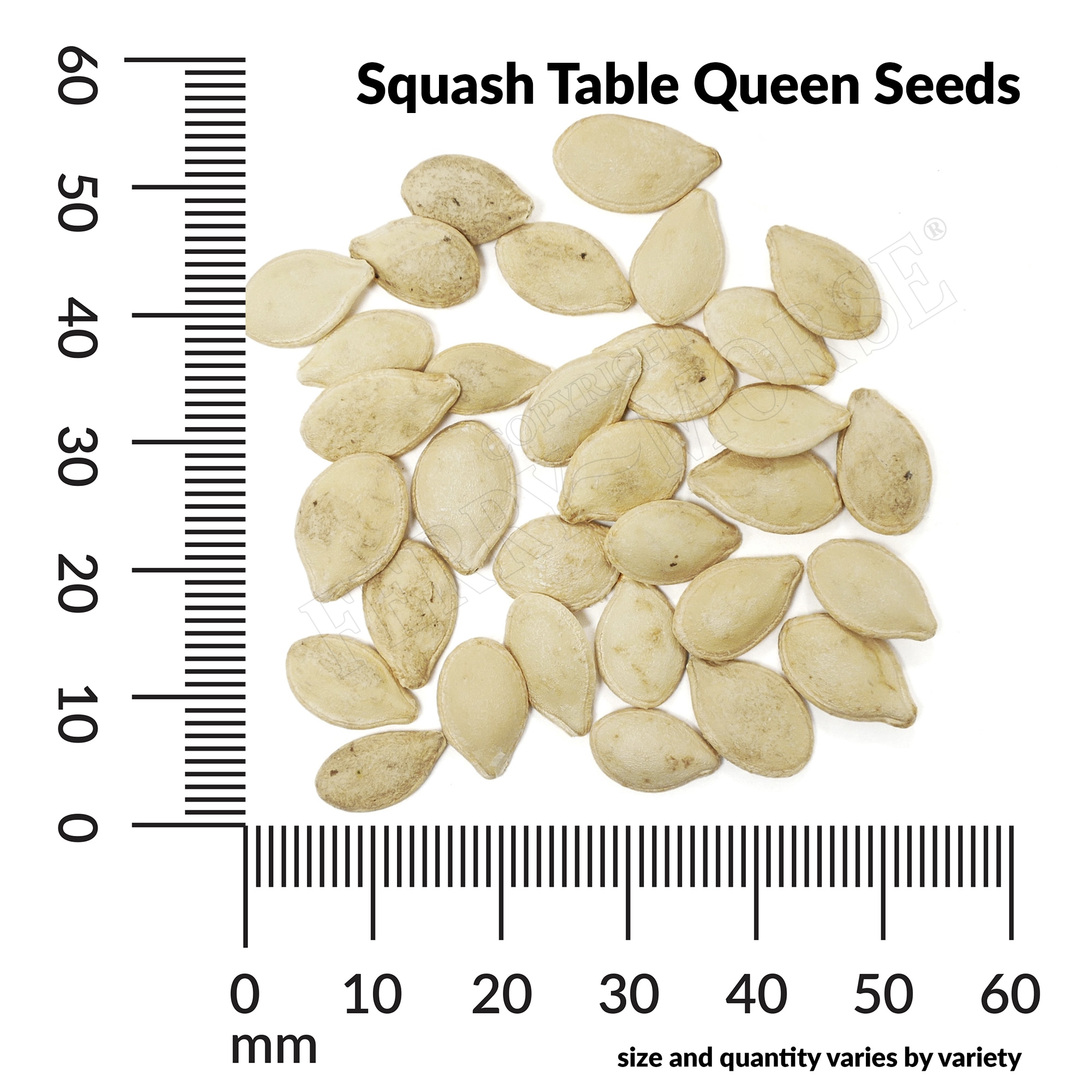 Ferry-Morse LC25.0797 Vegetable-Herb-Seeds - View #4