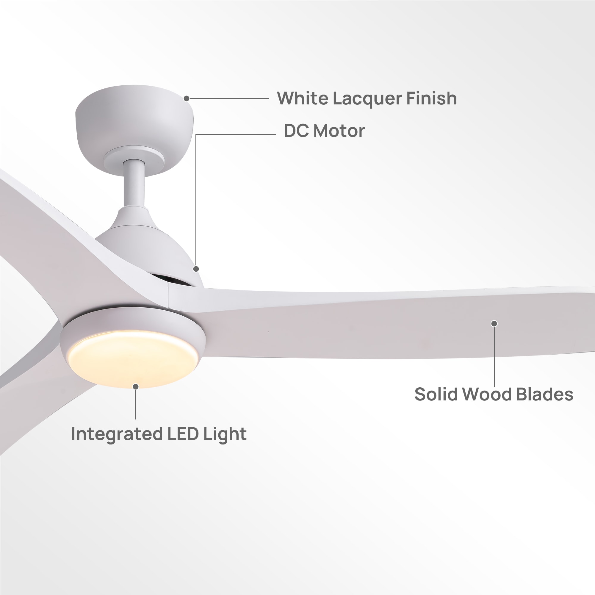 Antoine BLW022 Ceiling-Fans - View #8