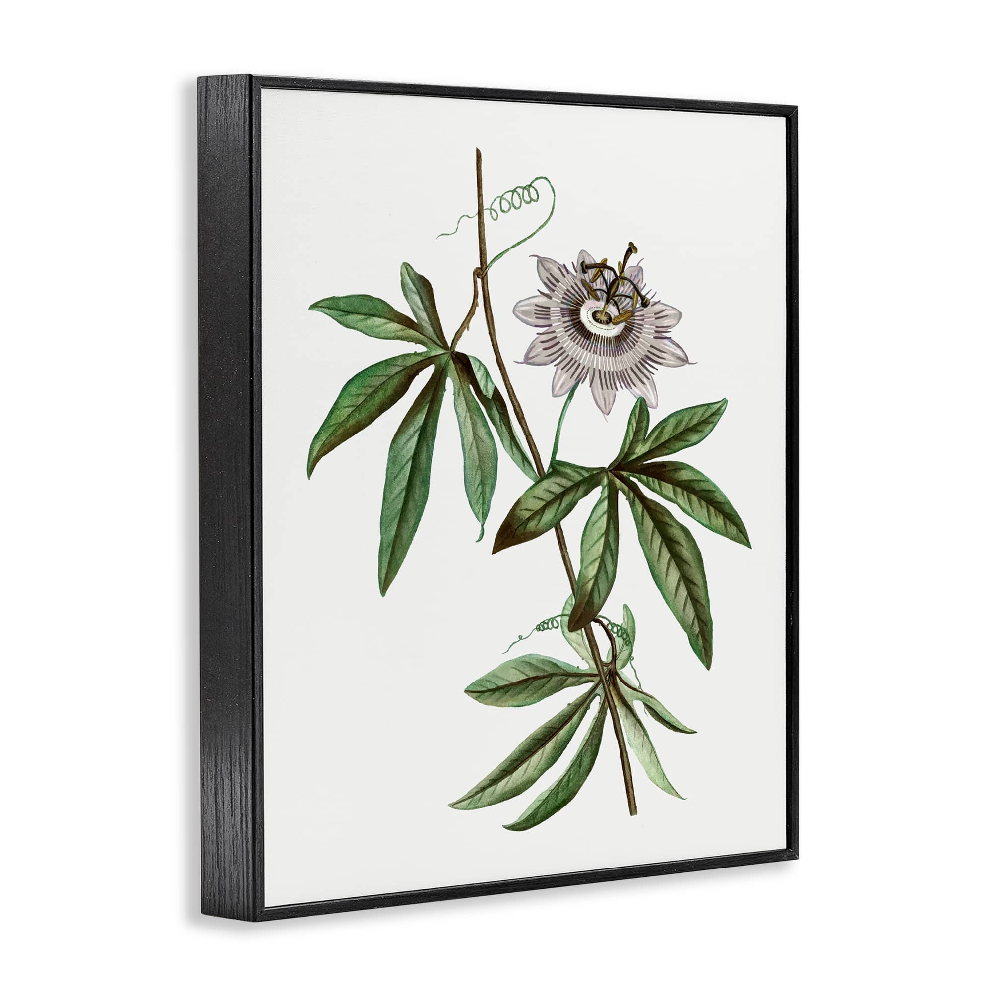 Stupell Industries BS-205-FR-24X30 Wall-Art - View #2