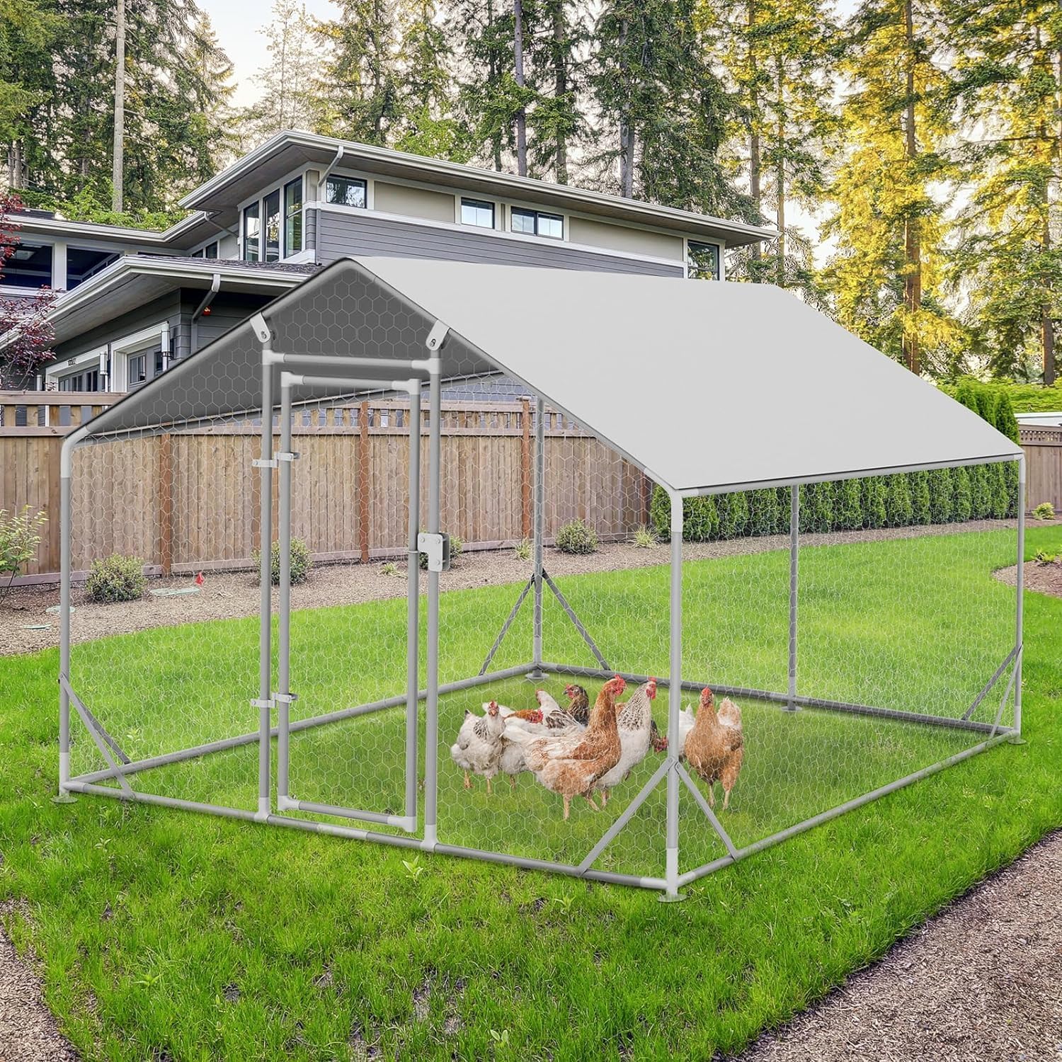 WhizMax BY02-PHO-33LAM6BW Chicken-Coops-Rabbit-Hutches - View #3