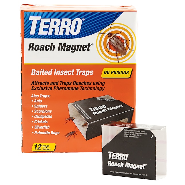TERRO Indoor Insect Trap (12-Pack) in the Insect Traps department at