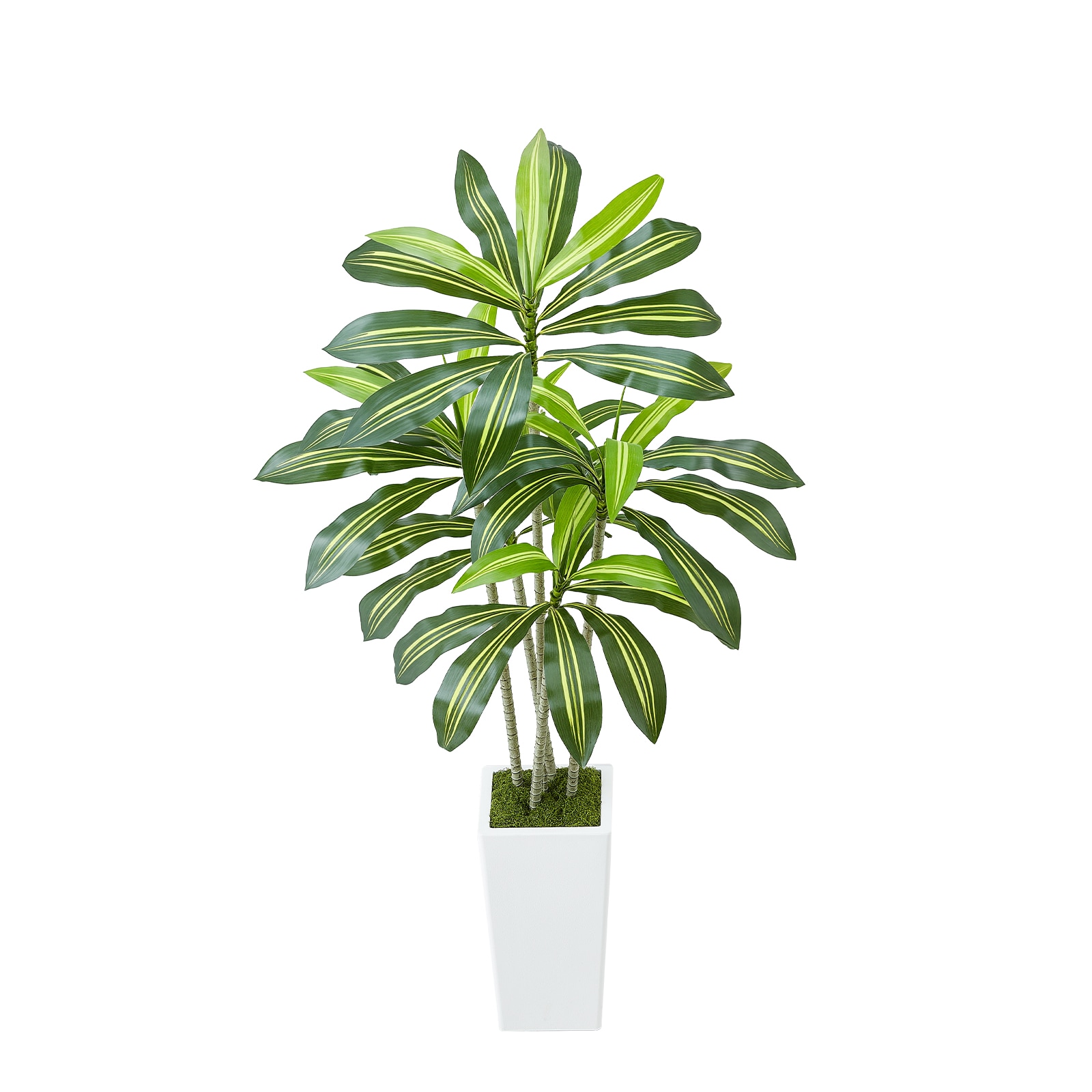 LUXEYARD - 5 Foot Artificial Dracaena Tree with White Planter for Indoor Outdoor Decor
