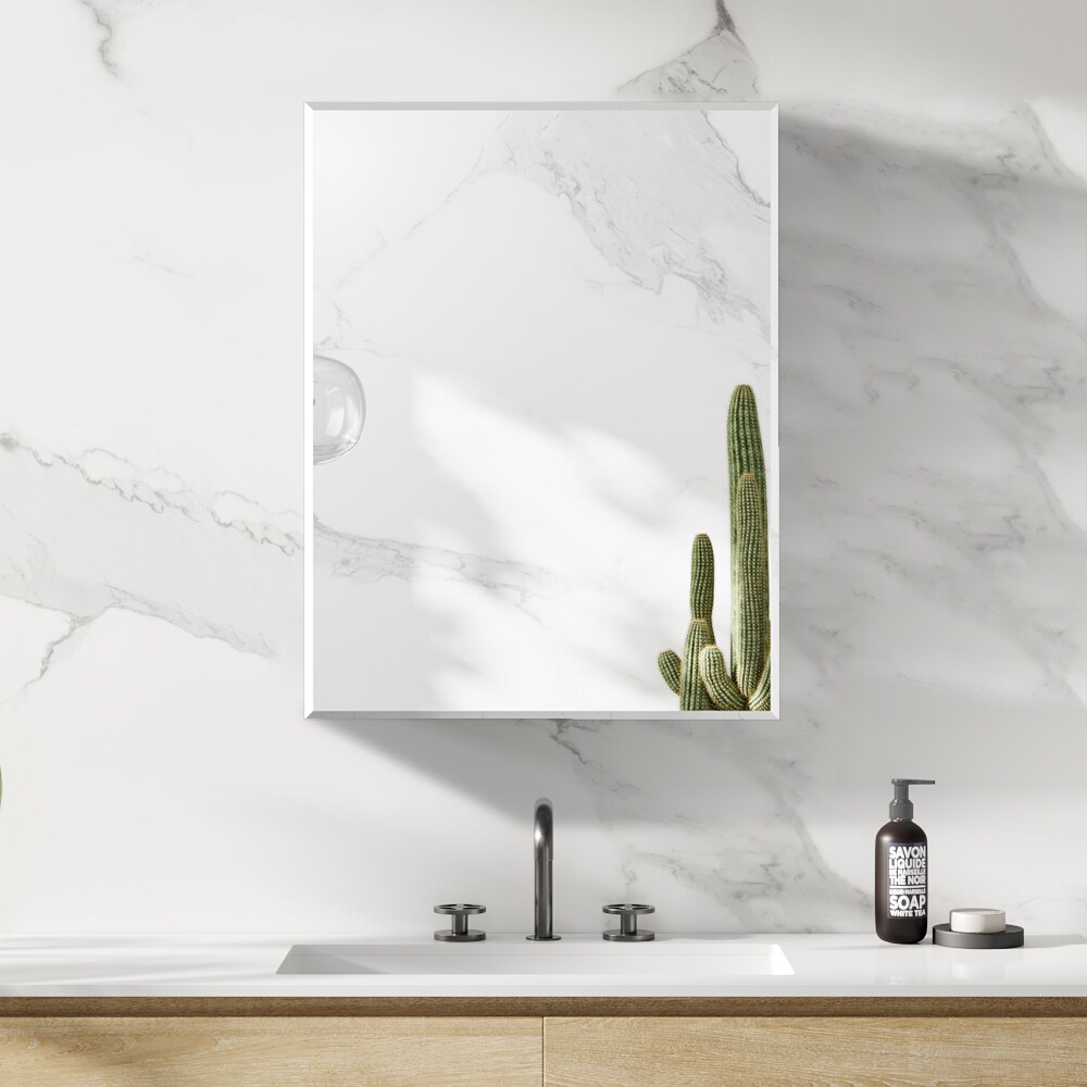 NeuType 20-in W x 26-in H Sliver Square Medicine Cabinet Mirror