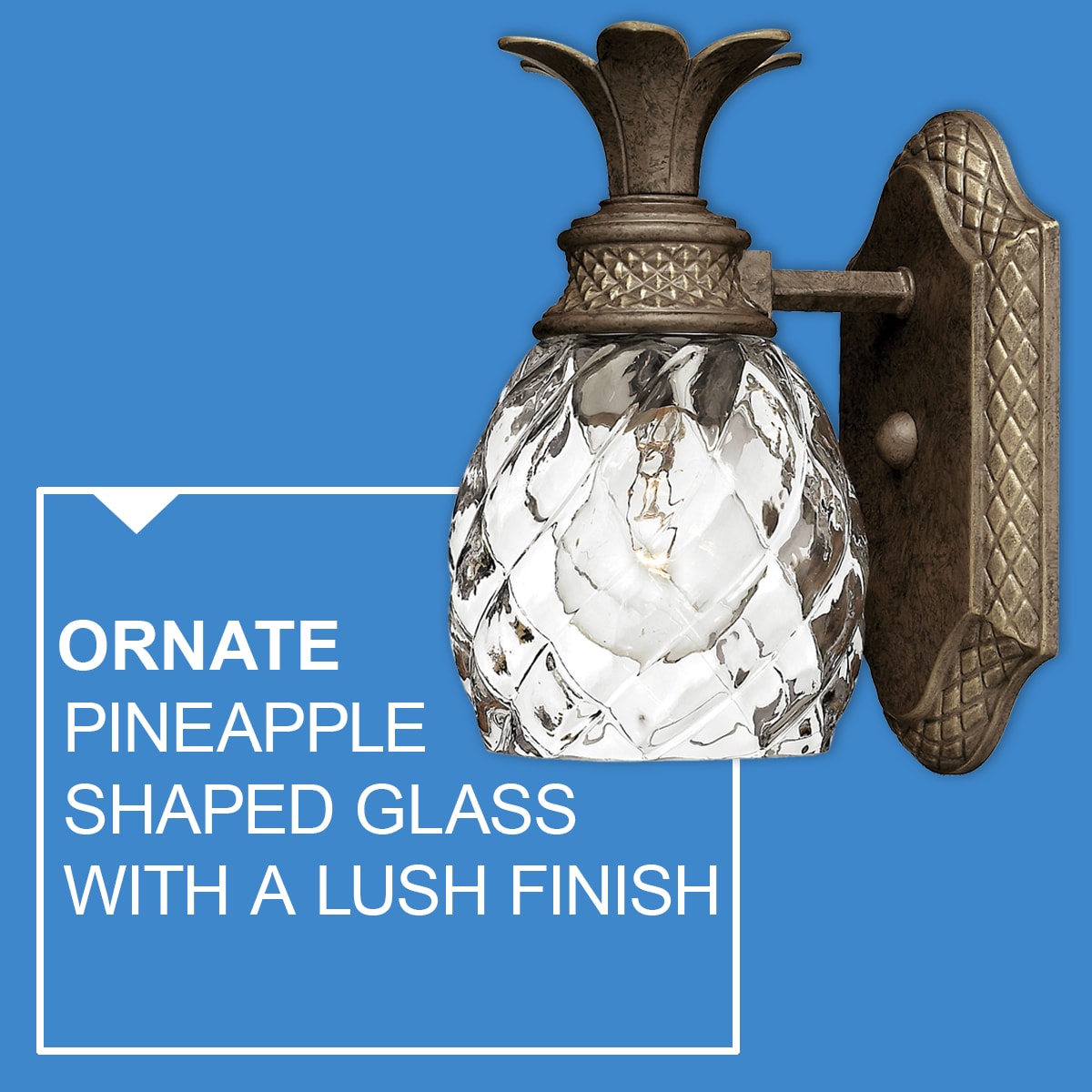 Pearl Bronze Clear Optic Glass Outdoor Wall Sconce