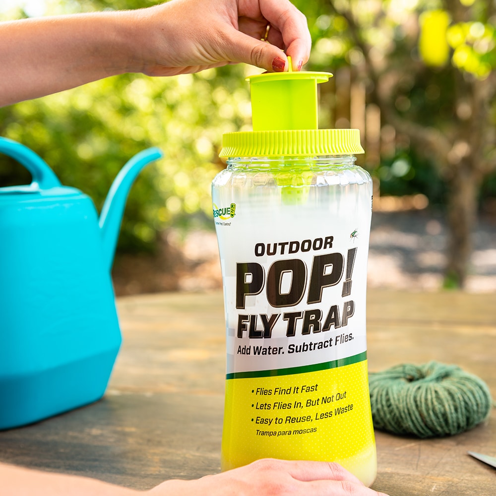  RESCUE! Fruit Fly Trap – Reusable, Includes Liquid Bait  Attractant : Patio, Lawn & Garden