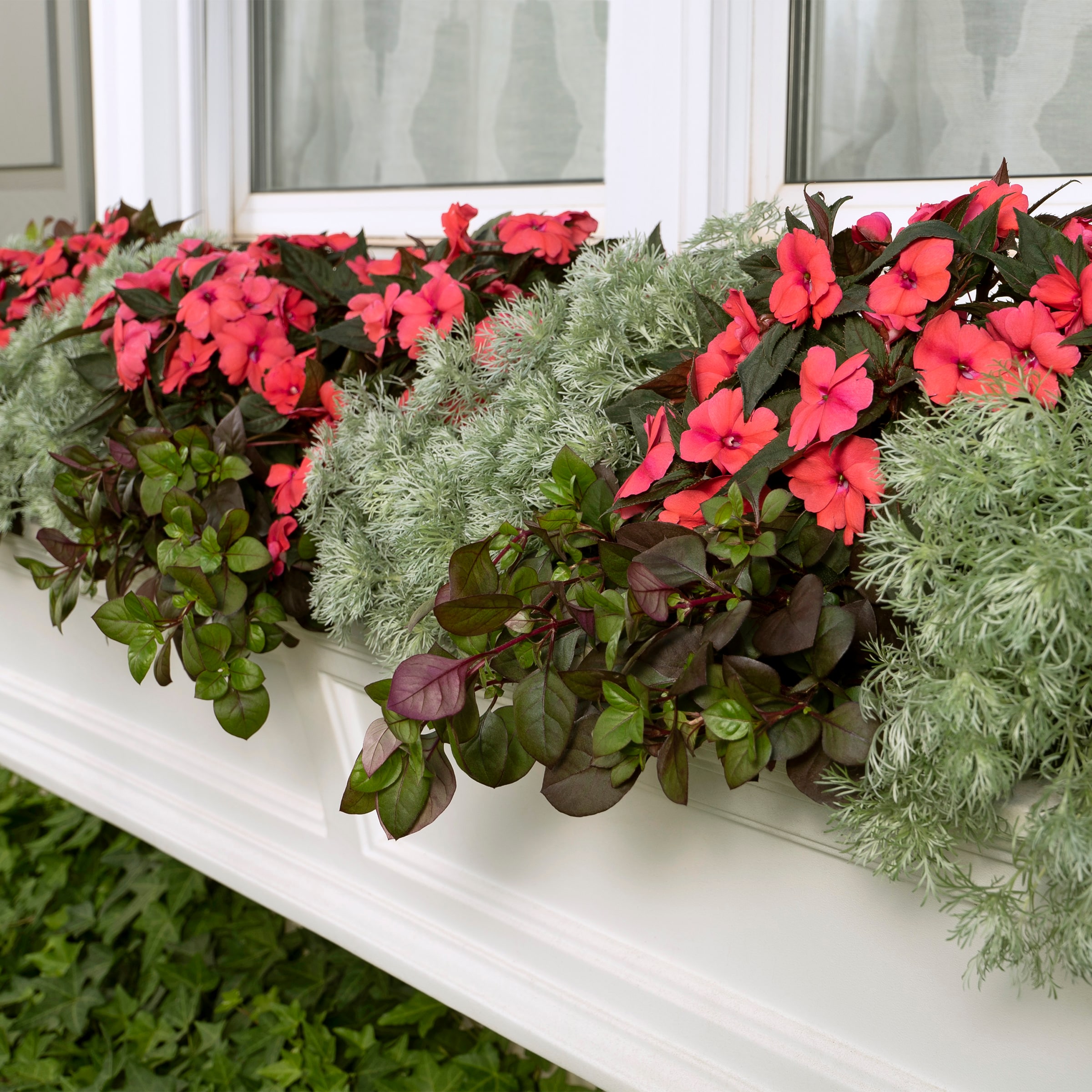 Lowe's 206616 annuals - View #14