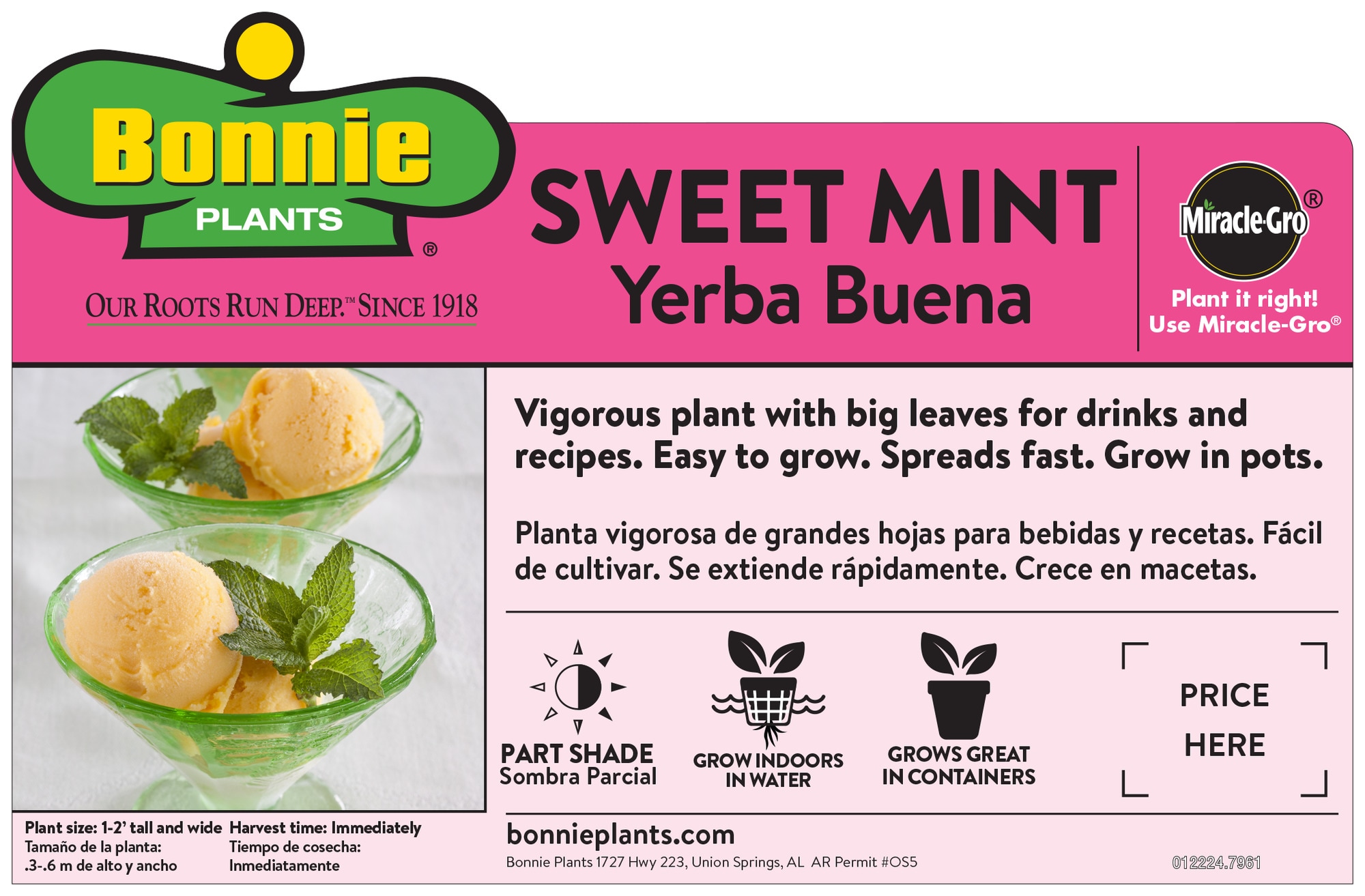 Bonnie Plants 49-710437 Herb-Plants - View #3