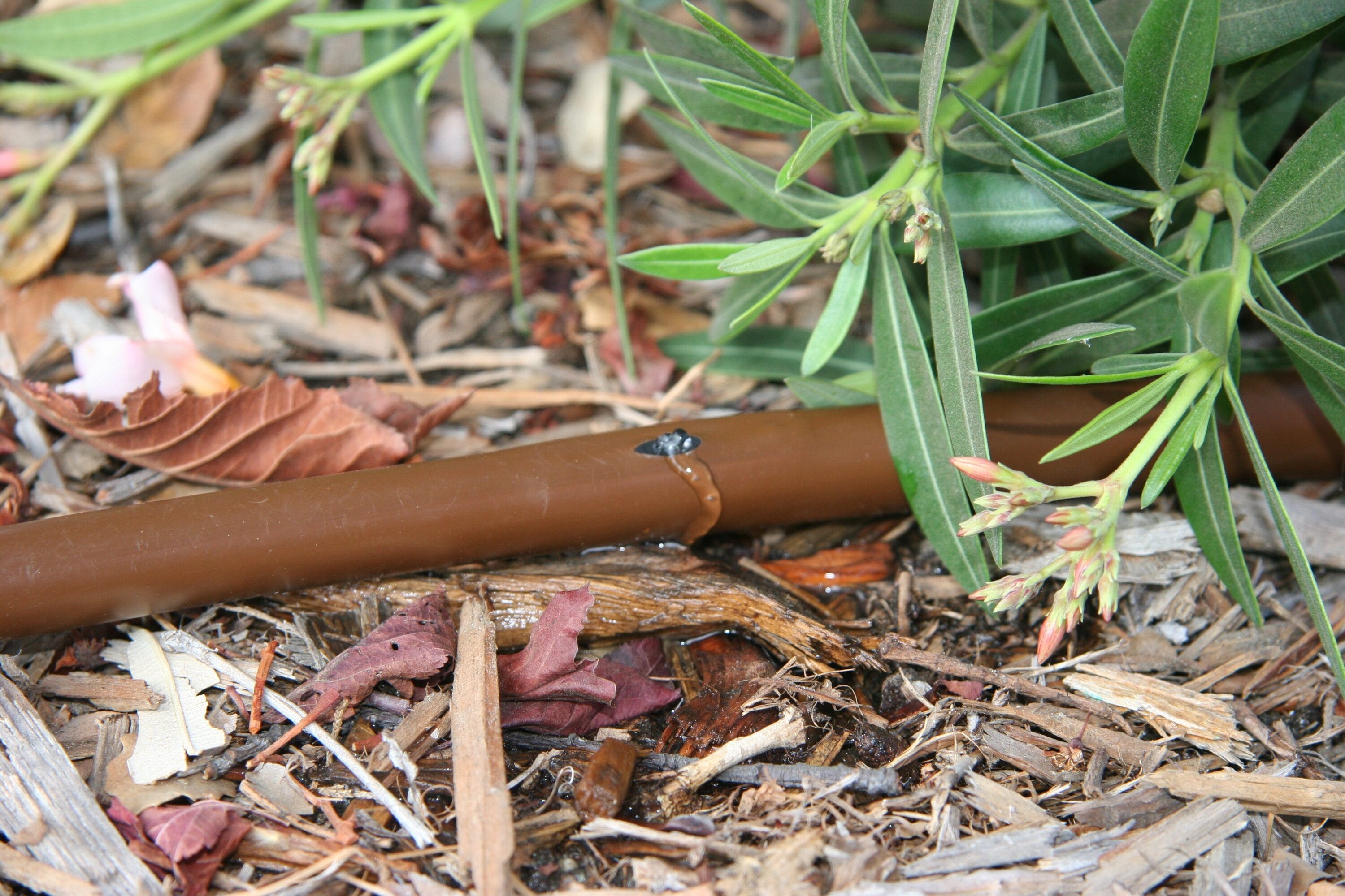 Rain Bird ET256-50SX Drip-Irrigation-Tubing - View #2
