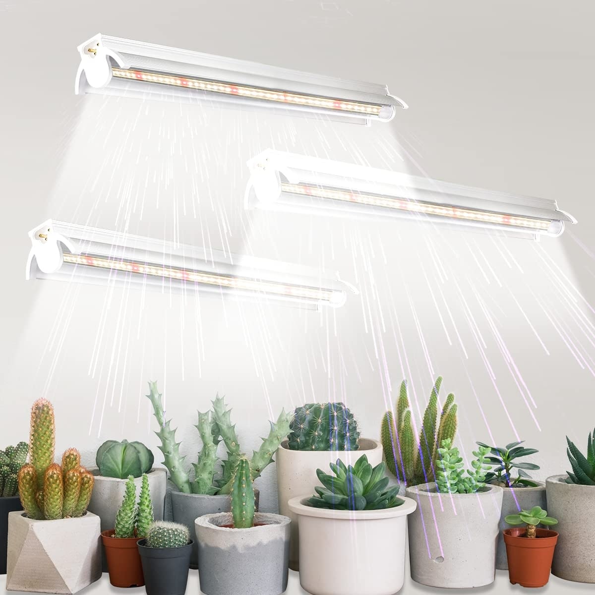 Oyezvary T5 Grow Lights 1 4Ft 5000K White Full Spectrum LED Plant