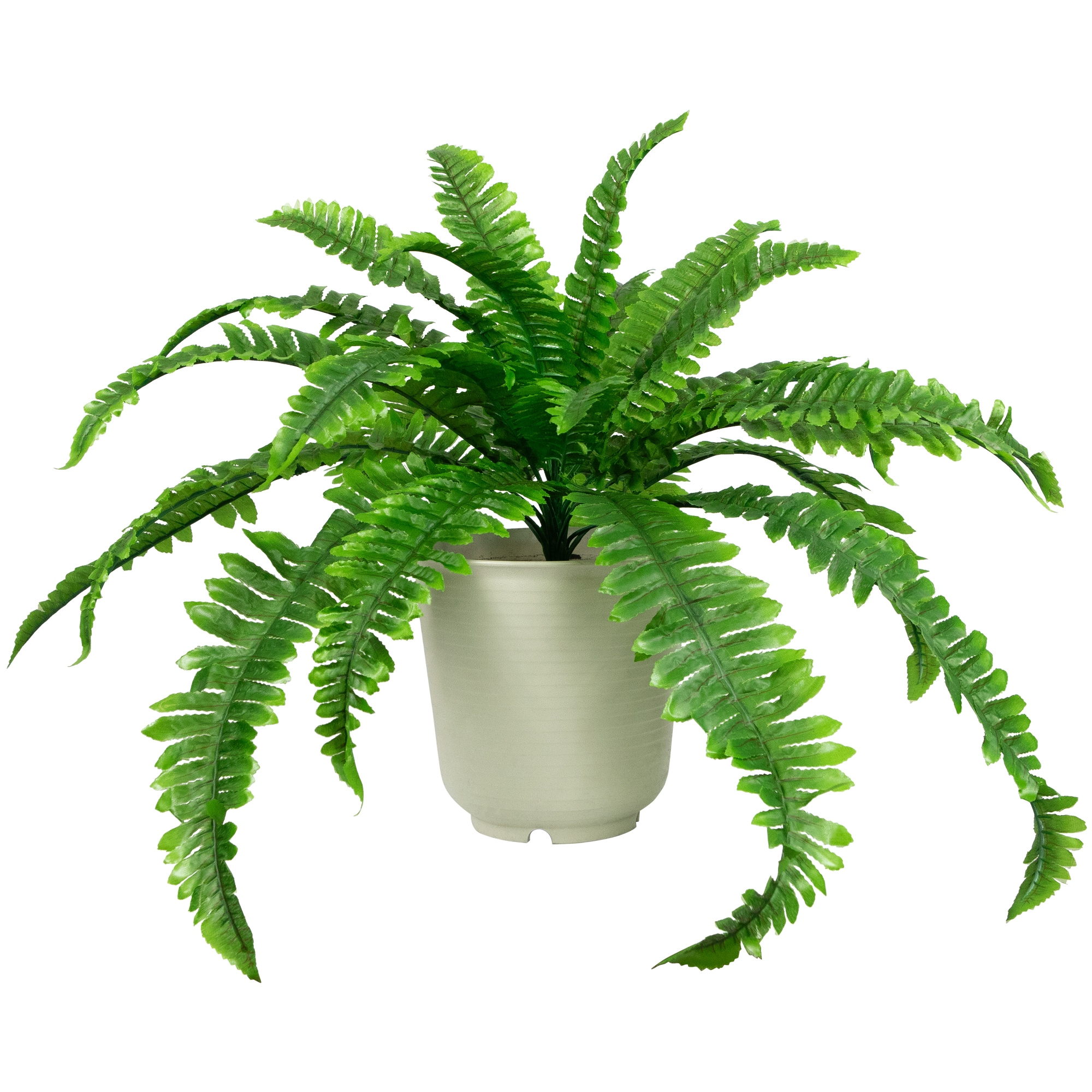 Northlight 32035988 20-in Green Indoor Desktop Boston Fern Artificial plant