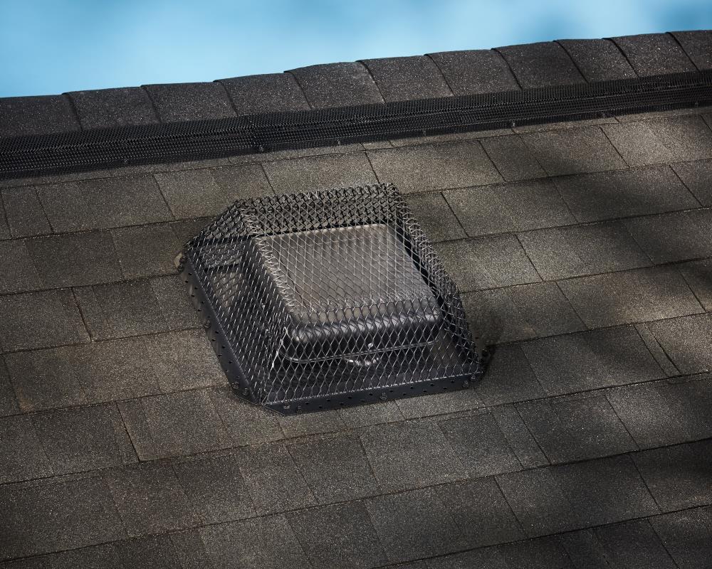 Shelter 16-in W x 16-in L Black Galvanized Steel Square Chimney Cap in ...