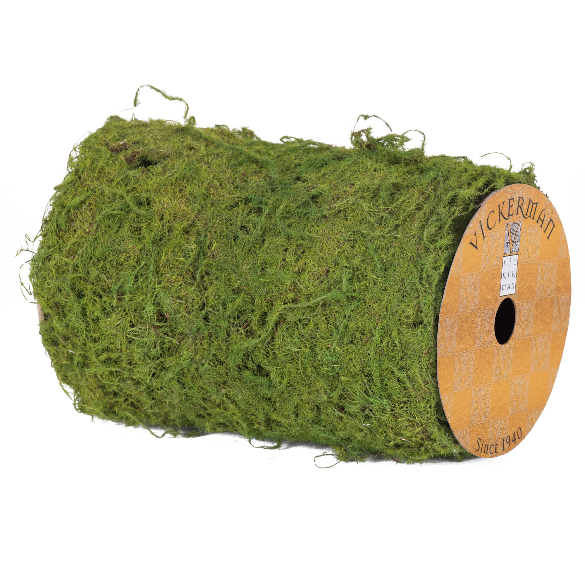 Vickerman FQ172401 2.5-ft L x 6-in W Green Ribbon