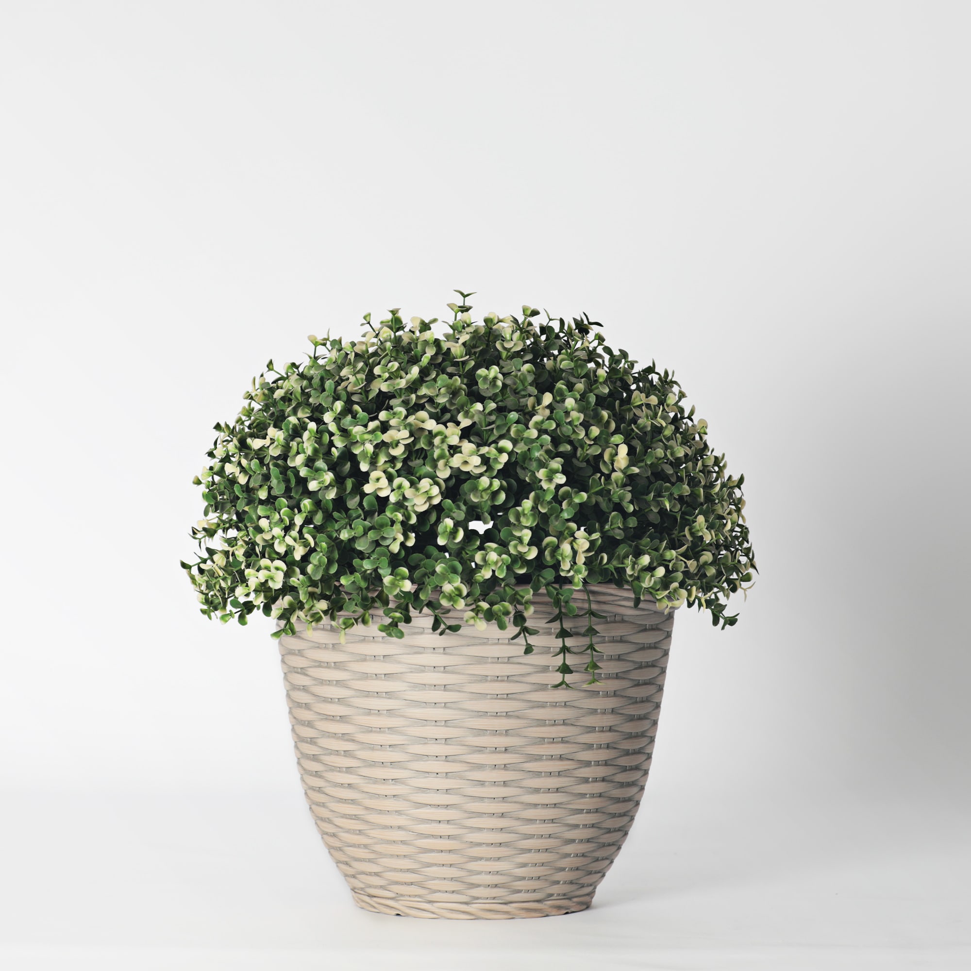 Style Selections PLH0108TBI Planter-Window-Box - View #4