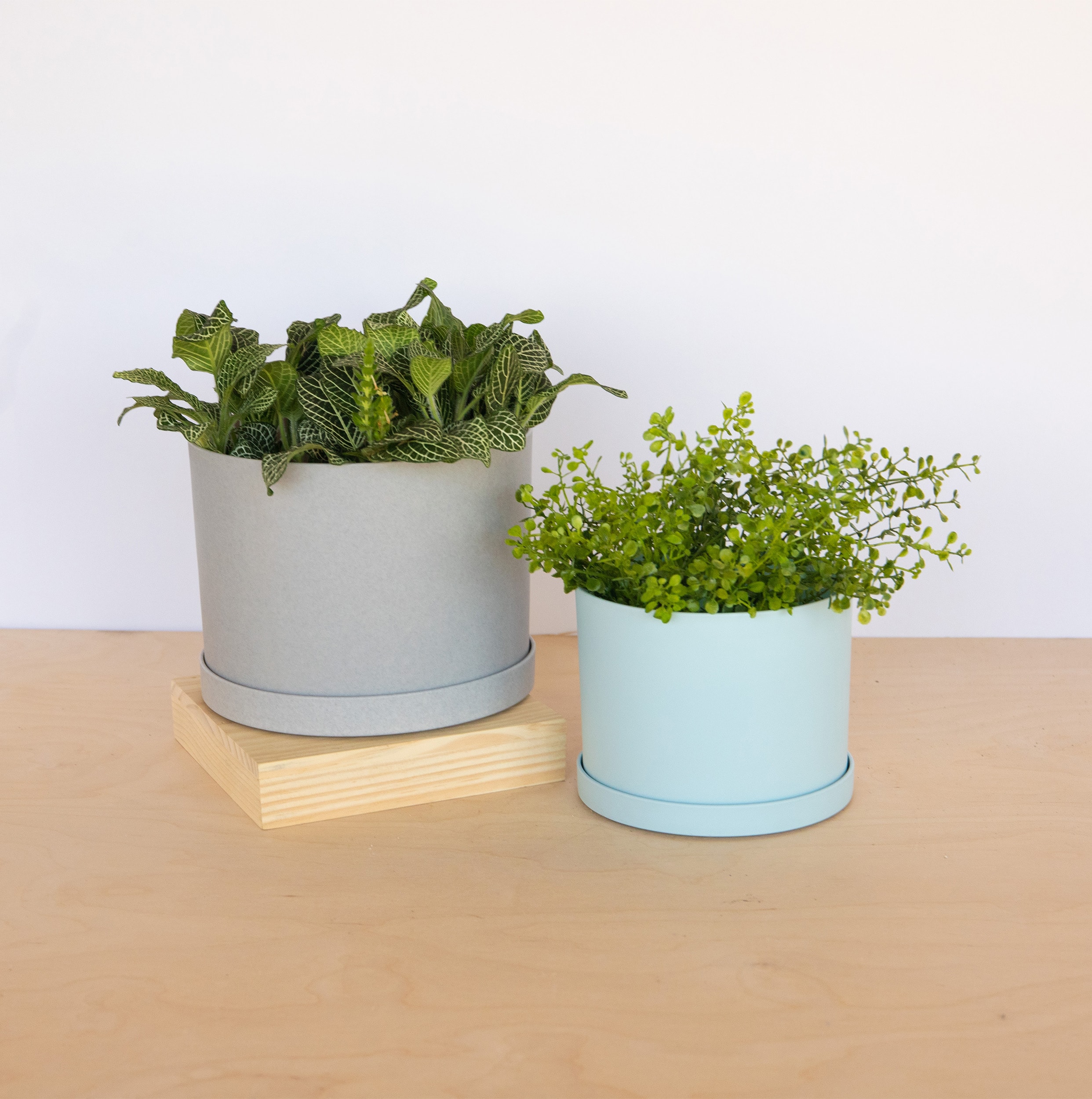 allen + roth MAT0637-L Planter-Window-Box - View #4