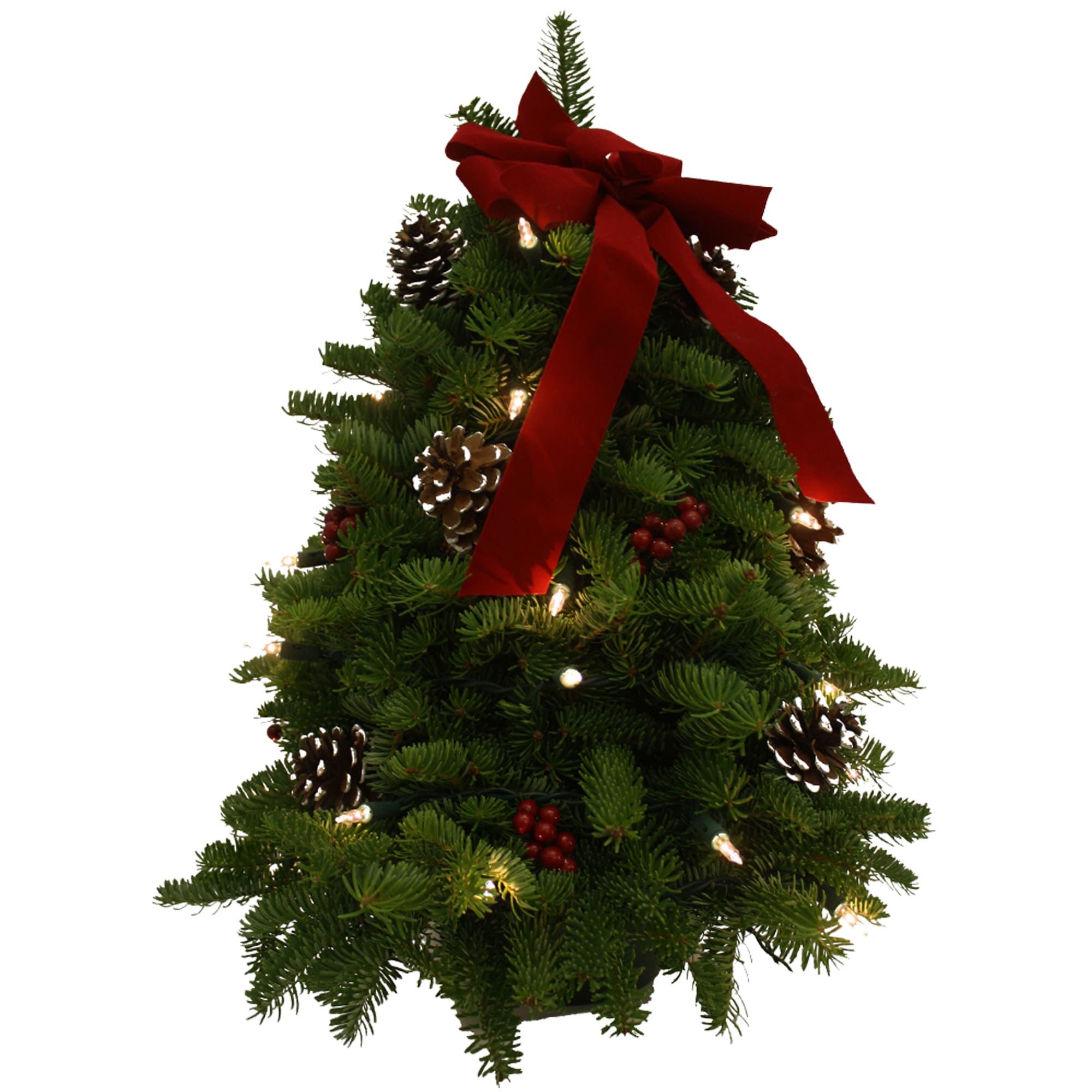 Worcester Wreath LIT-18CLASSIC-TREE Fresh-Cut-Christmas-Decorations - View #3