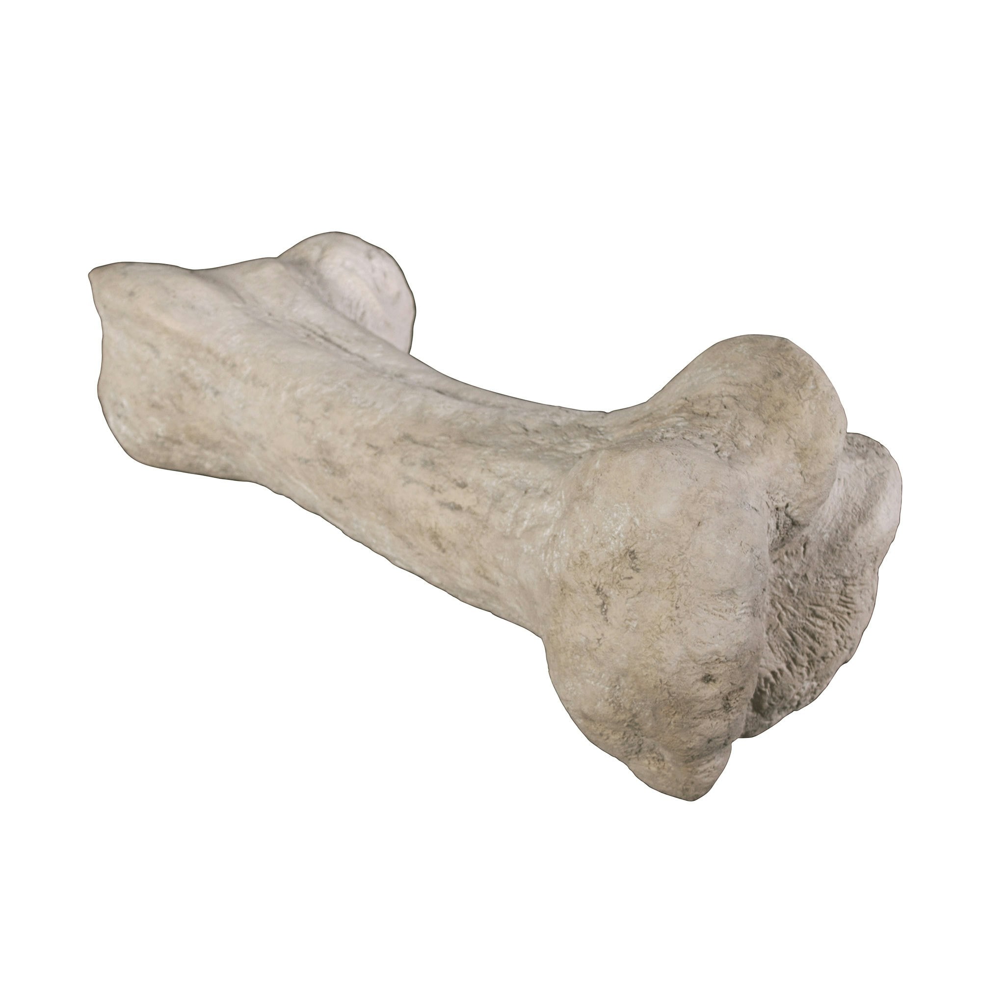 Design Toscano NG32762 Garden-Statue - View #7