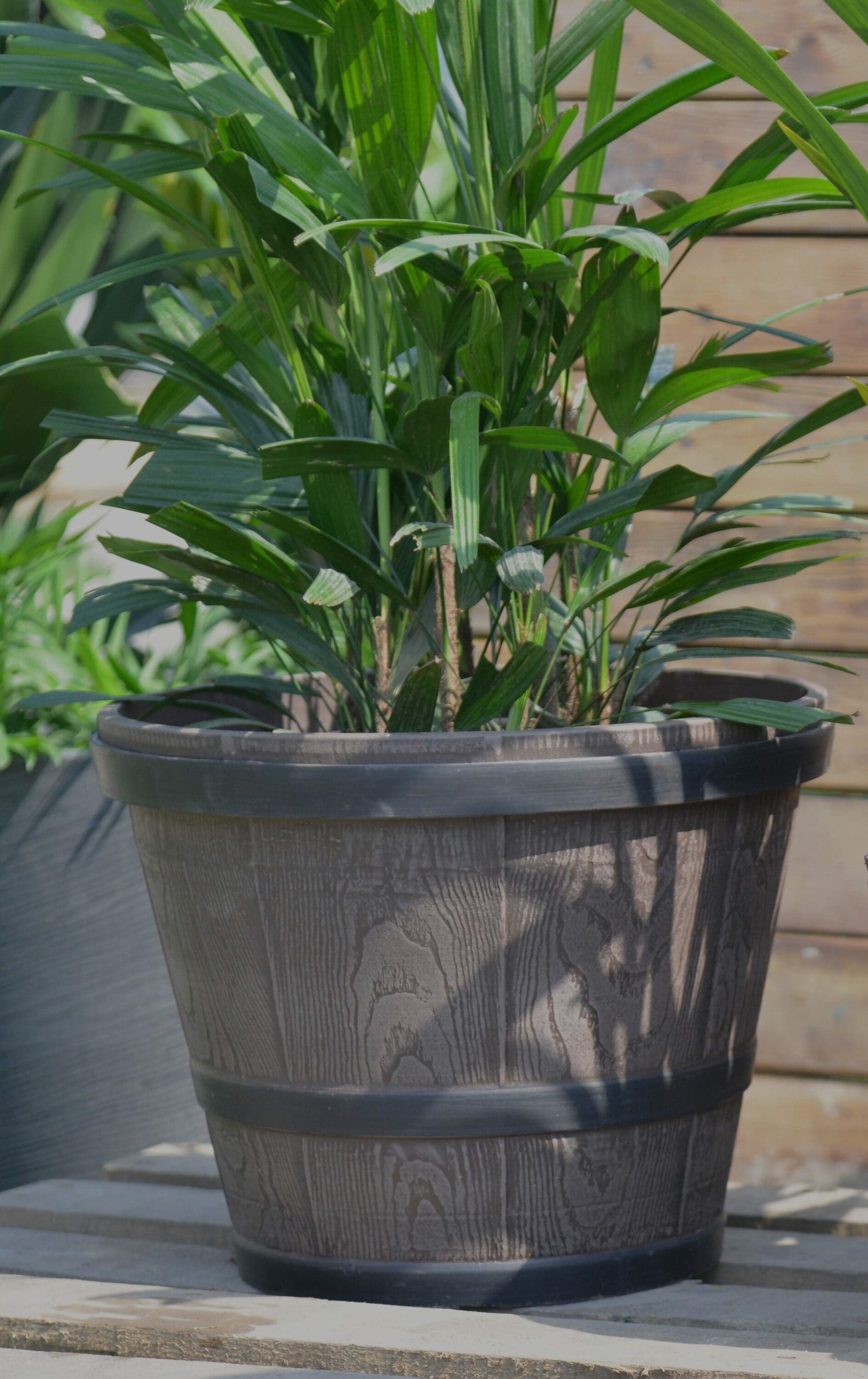 Greenship S-11P30T-2 Planter-Window-Box - View #2