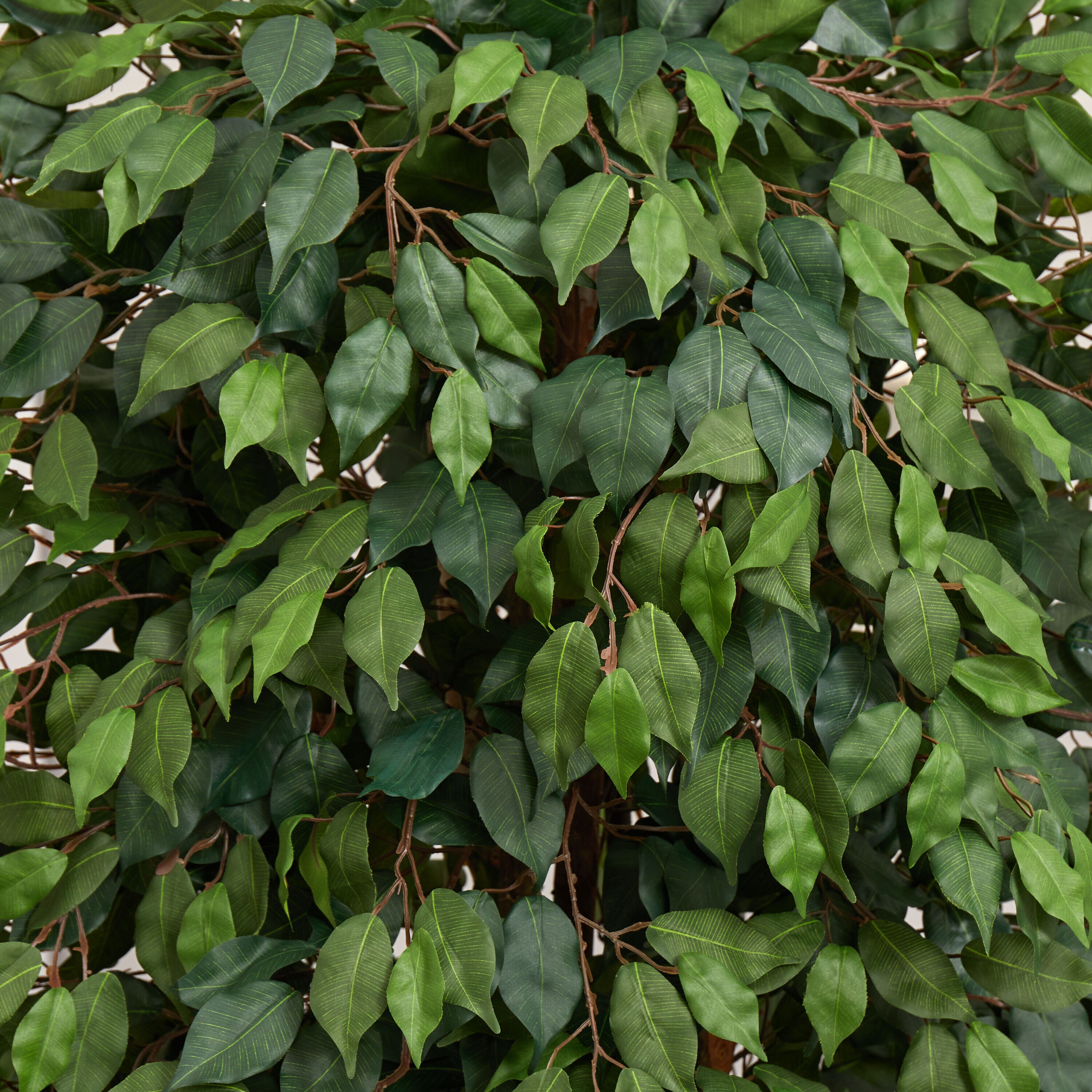 Nearly Natural 5665 Artificial-Plants-Trees - View #4