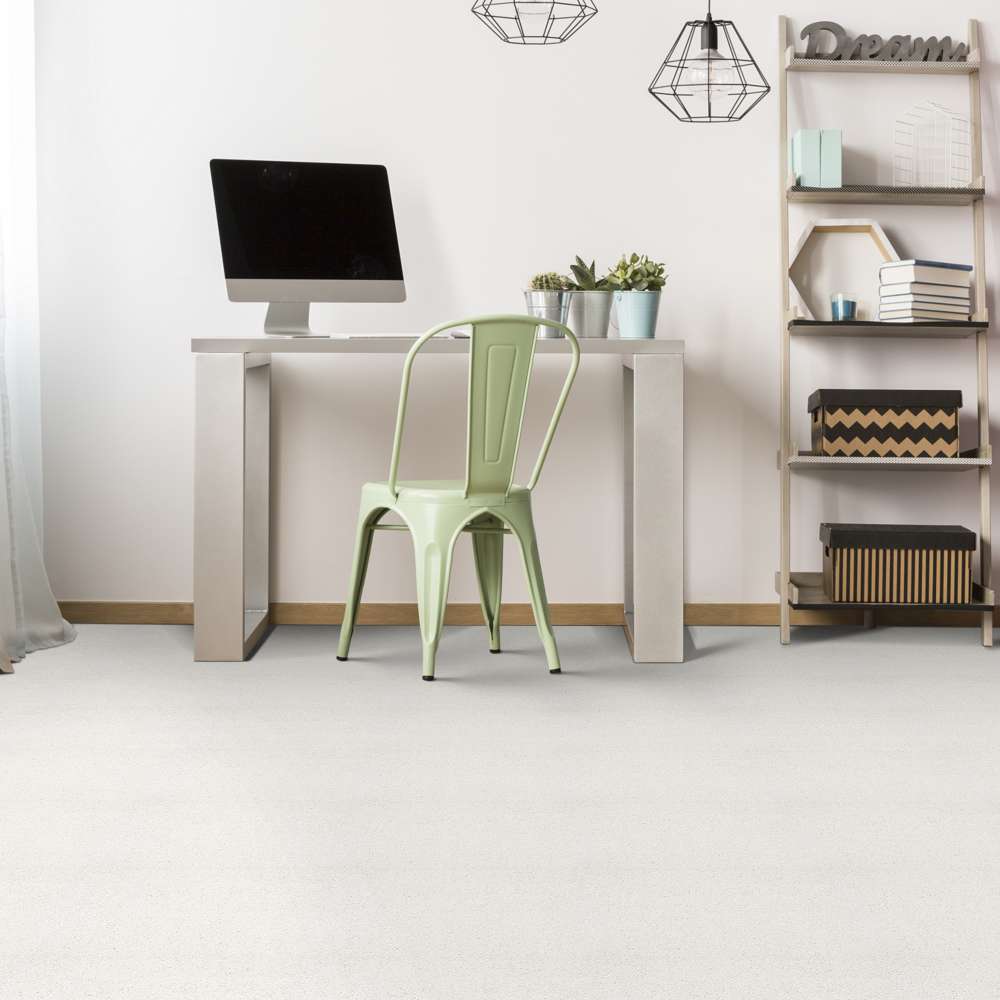 STAINMASTER 7L792-120-SAMP Carpet-Samples - View #4