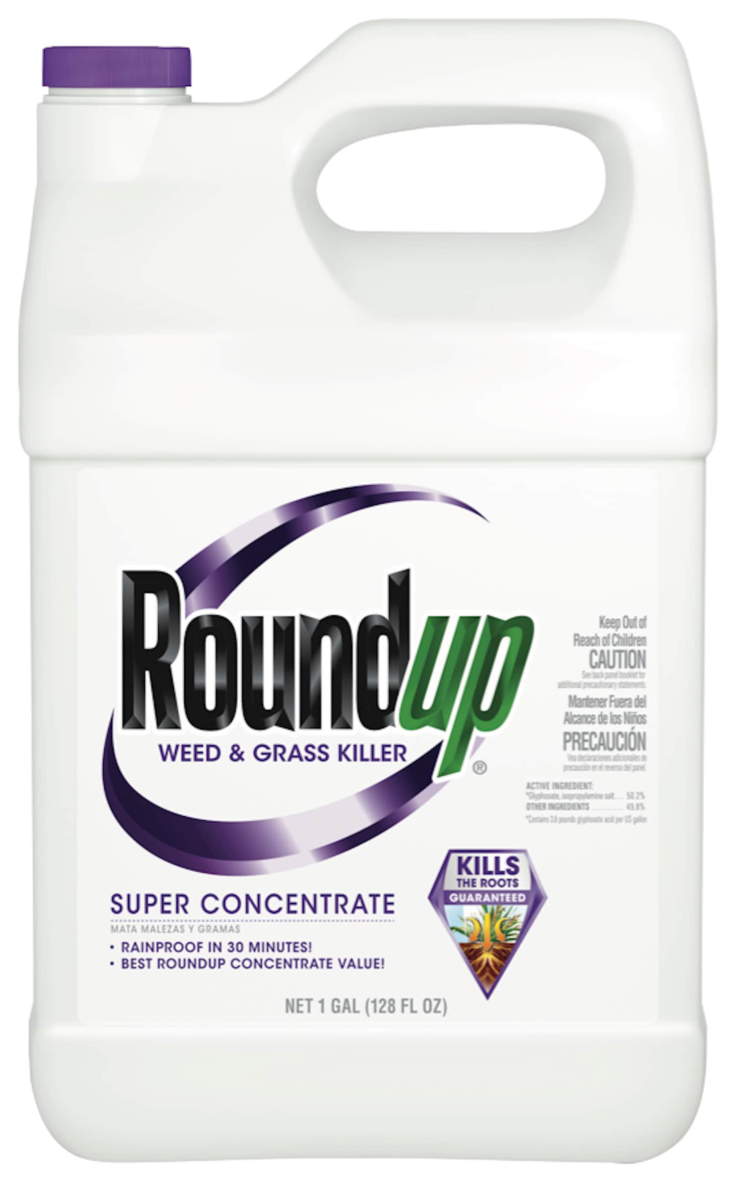 Roundup Super 1-Gallon Concentrated Weed and Grass Killer in the Weed  Killers department at