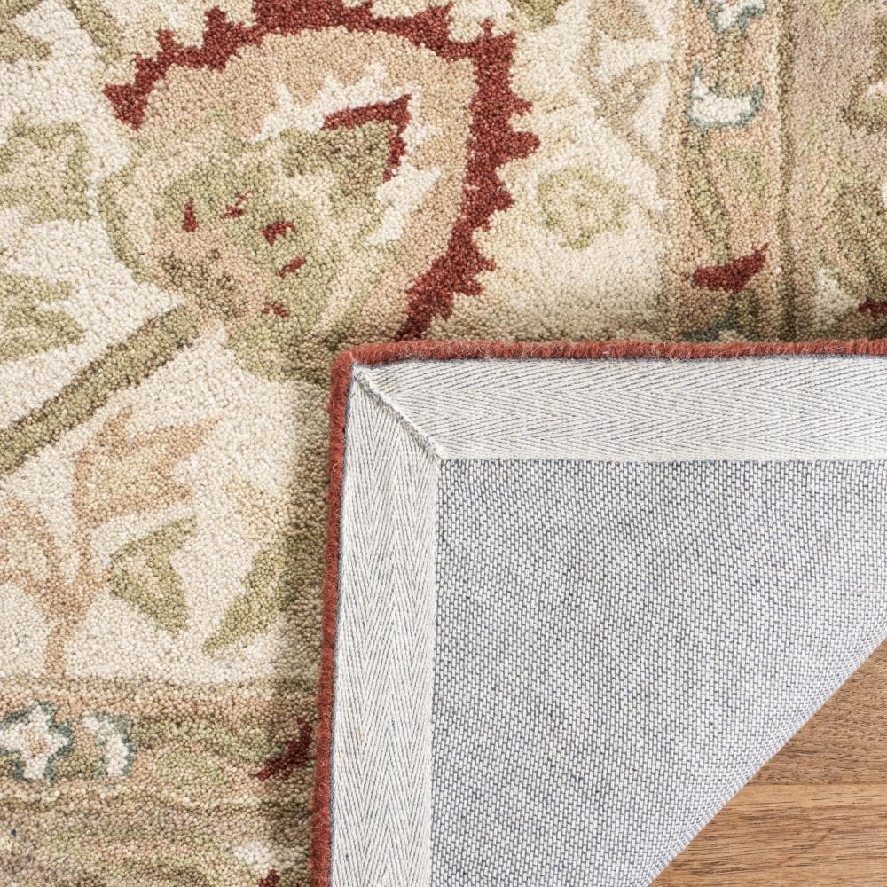 Safavieh AN512E-6R rugs - View #4