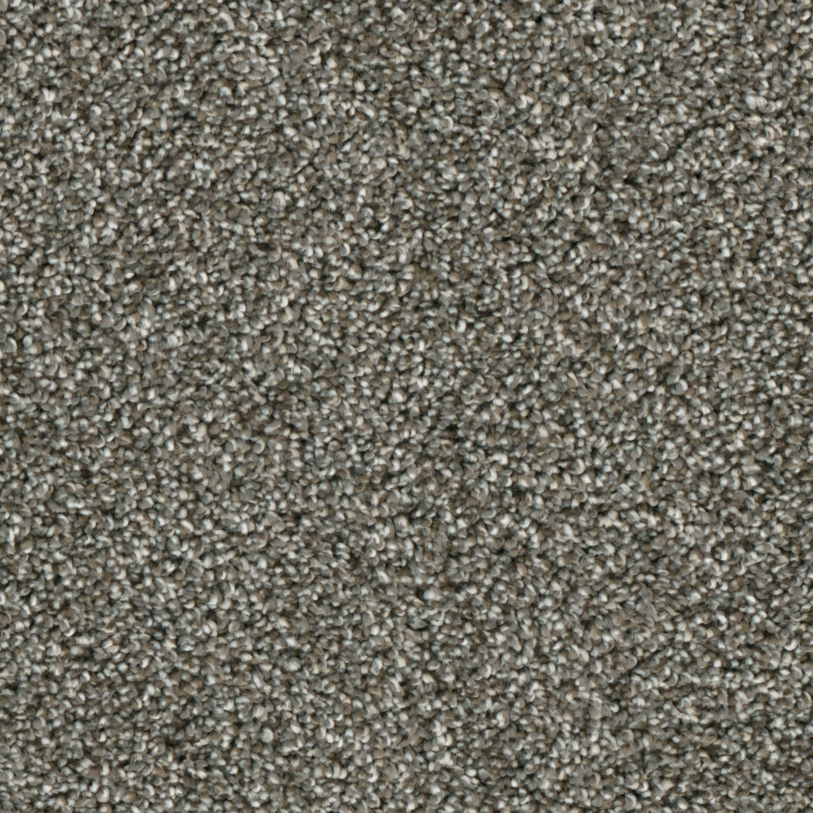 (Sample) Lenox Park Downtown Textured Indoor Carpet | - STAINMASTER S9255-954-S