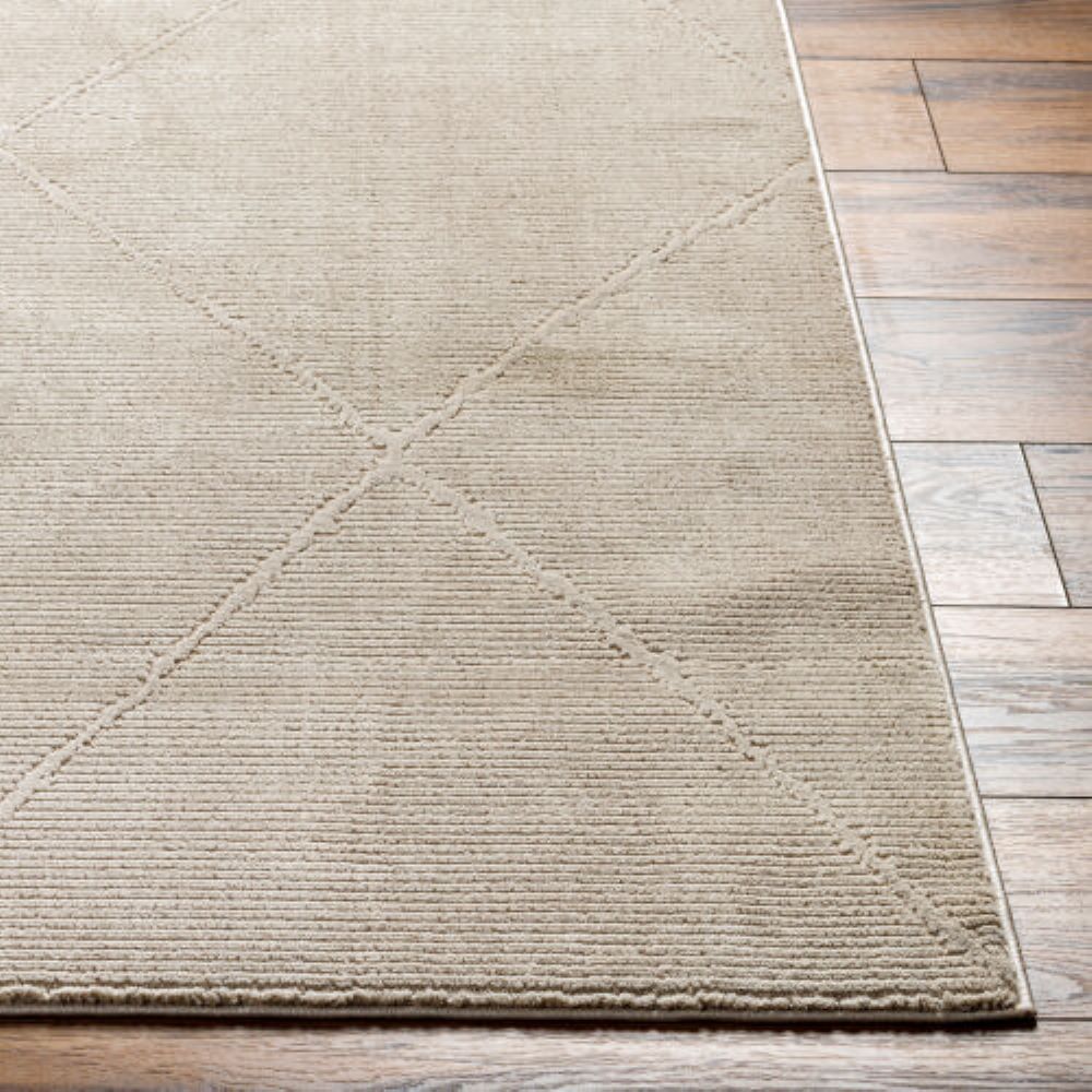 Livabliss ALD2301-2345 rugs - View #3