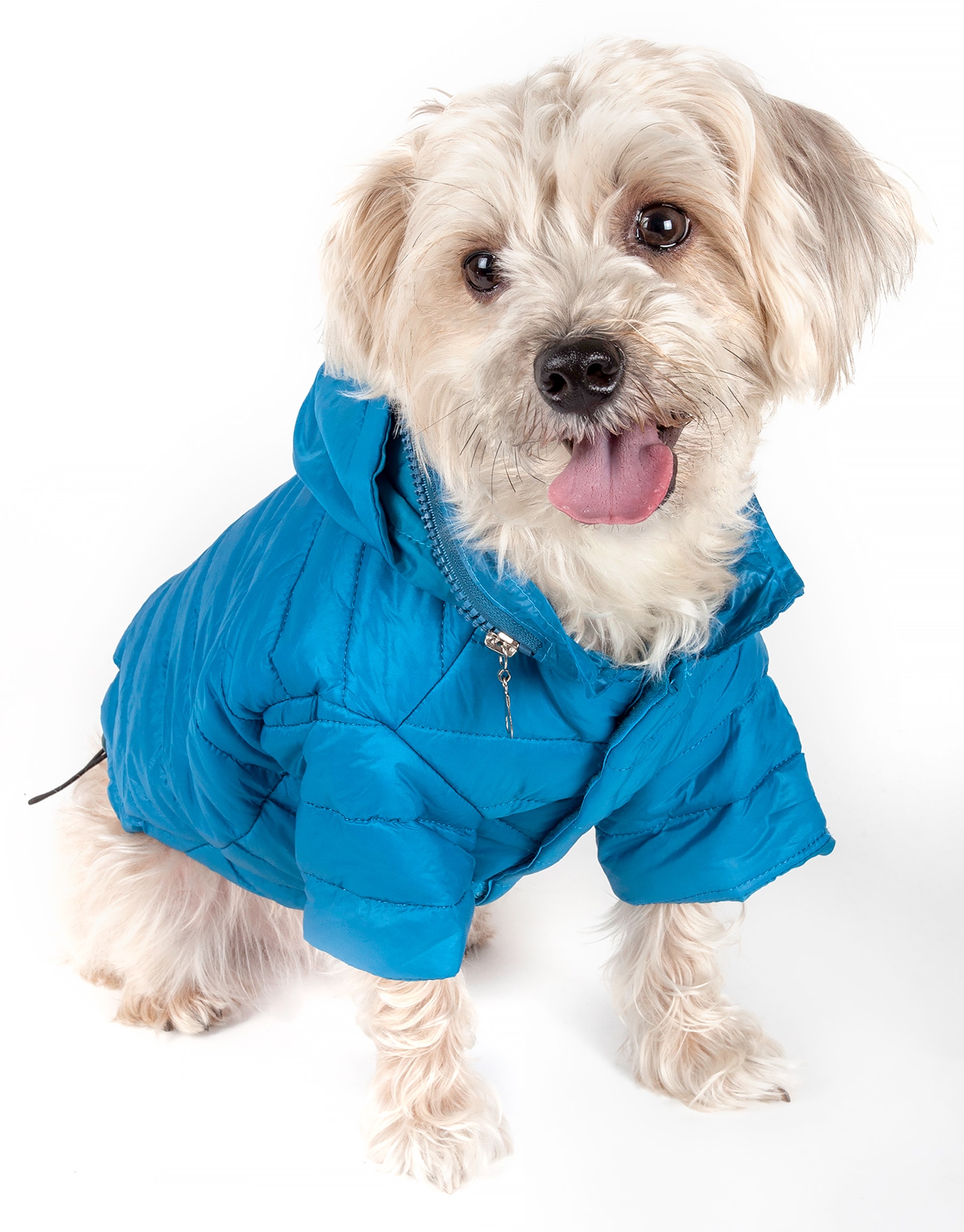 Pet Life Lightweight Adjustable 'Sporty Avalanche' Pet Coat - Blue