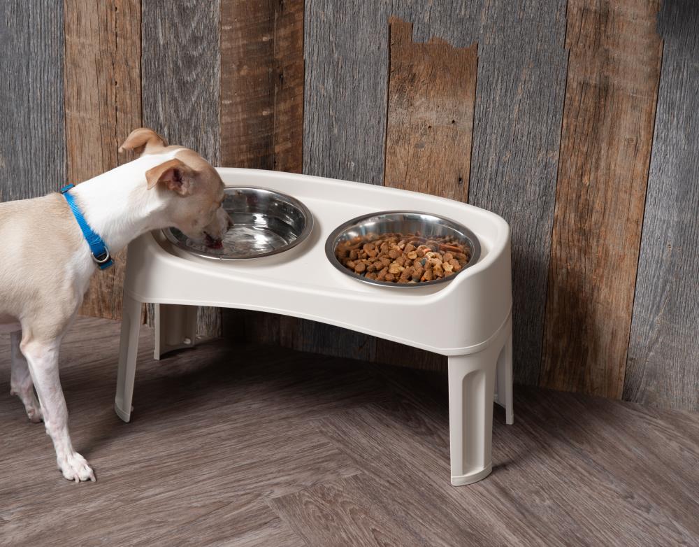 IRIS 64-oz Metal and Plastic Dog Elevated Feeder in the Feeders department  at