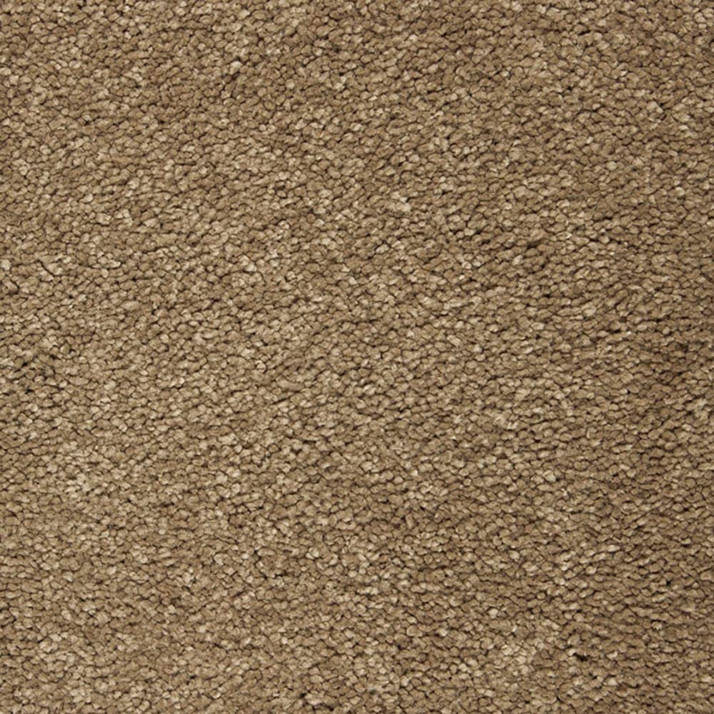 STAINMASTER PetProtect STP56-L022-0808 (Sample) Pawfection Longhorn Brown 70-oz sq yard Triexta Textured Indoor Carpet
