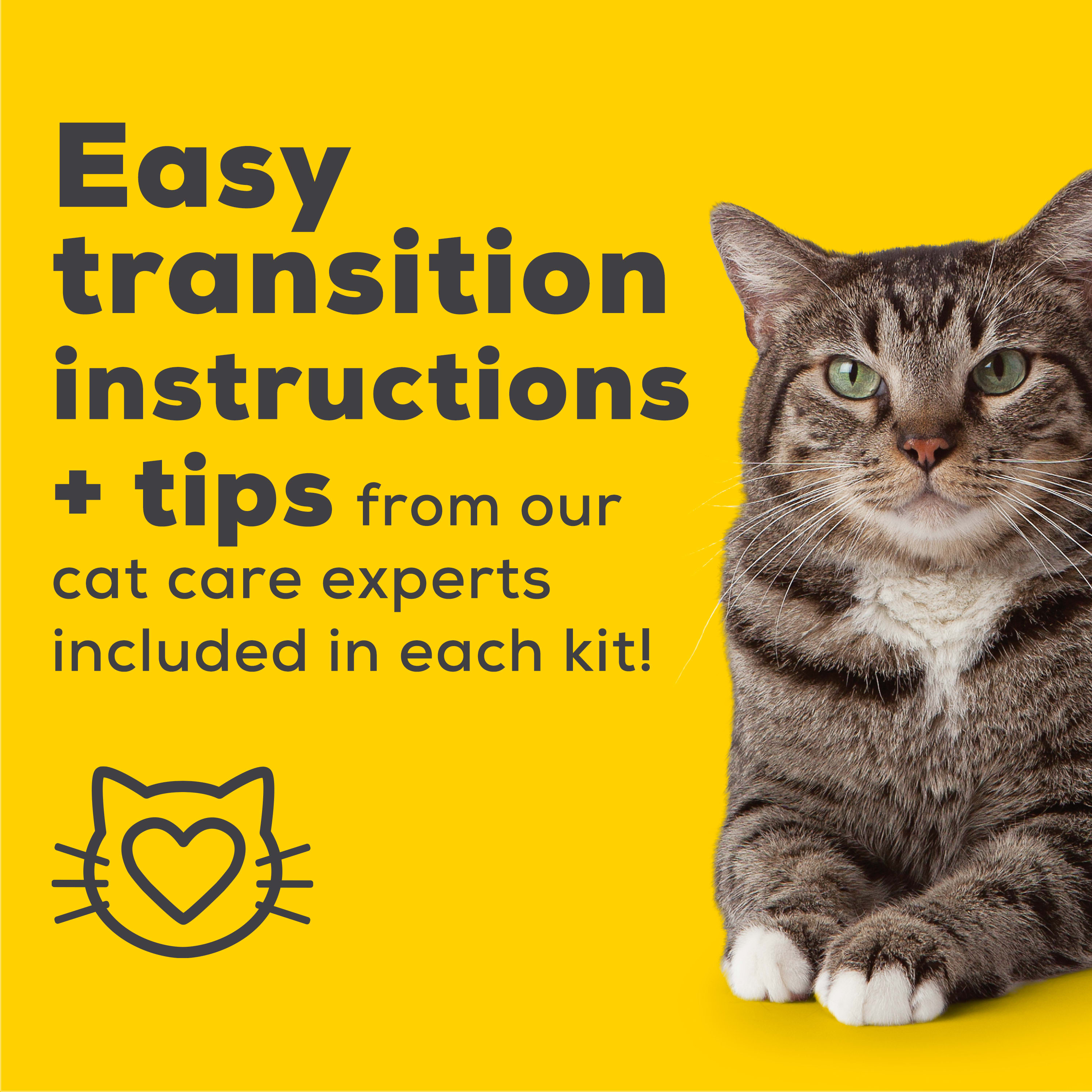 Tidy Cats 007023012733 Cat-Litter-Box - View #9