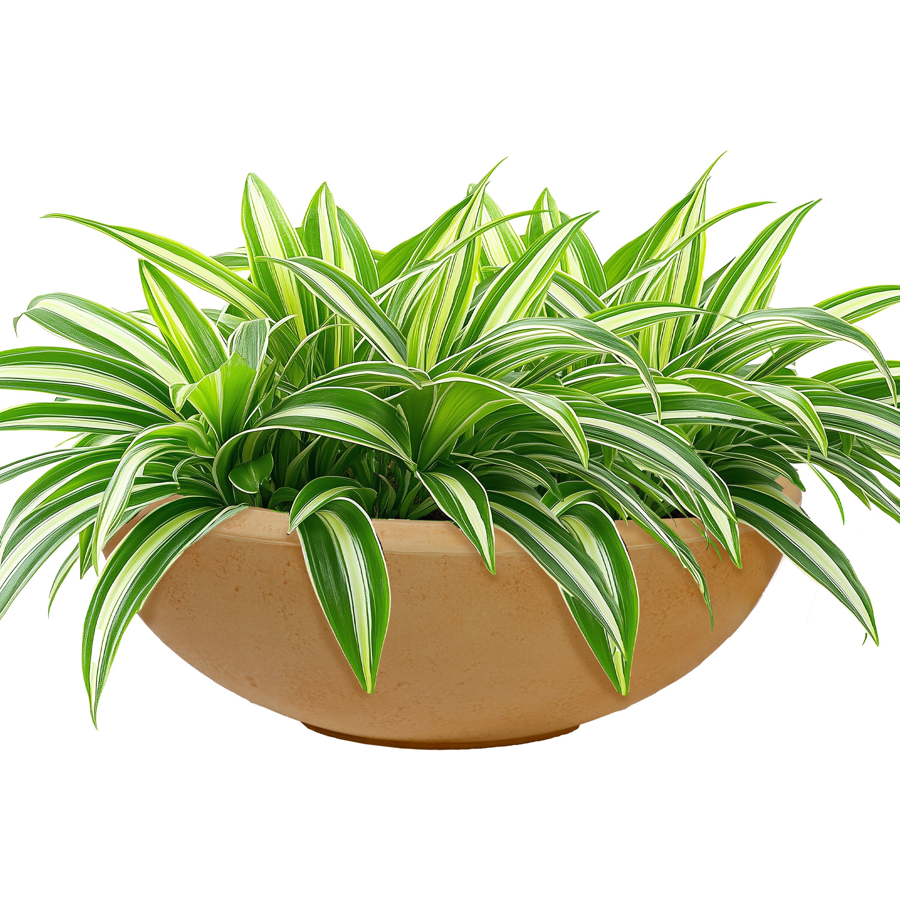 Sunnydaze Decor DG-014-2PK Planter-Window-Box - View #13