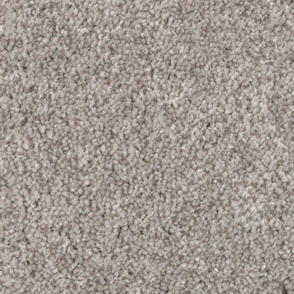 STAINMASTER STP22-12-L006 Gentle Giant Mystical Taupe Brown 70-oz sq yard Polyester Textured Indoor Carpet