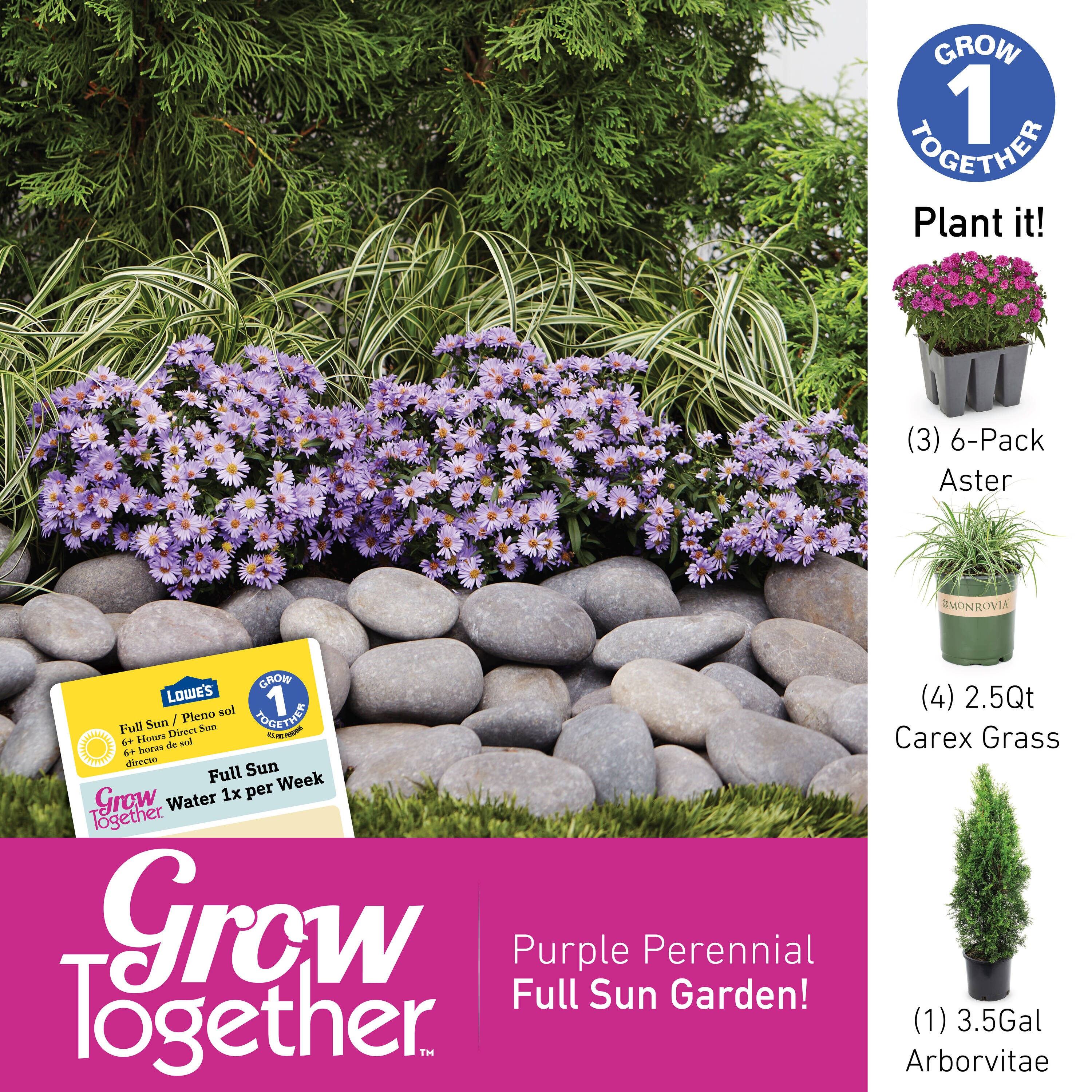 Lowe's NURSERY annuals - View #4