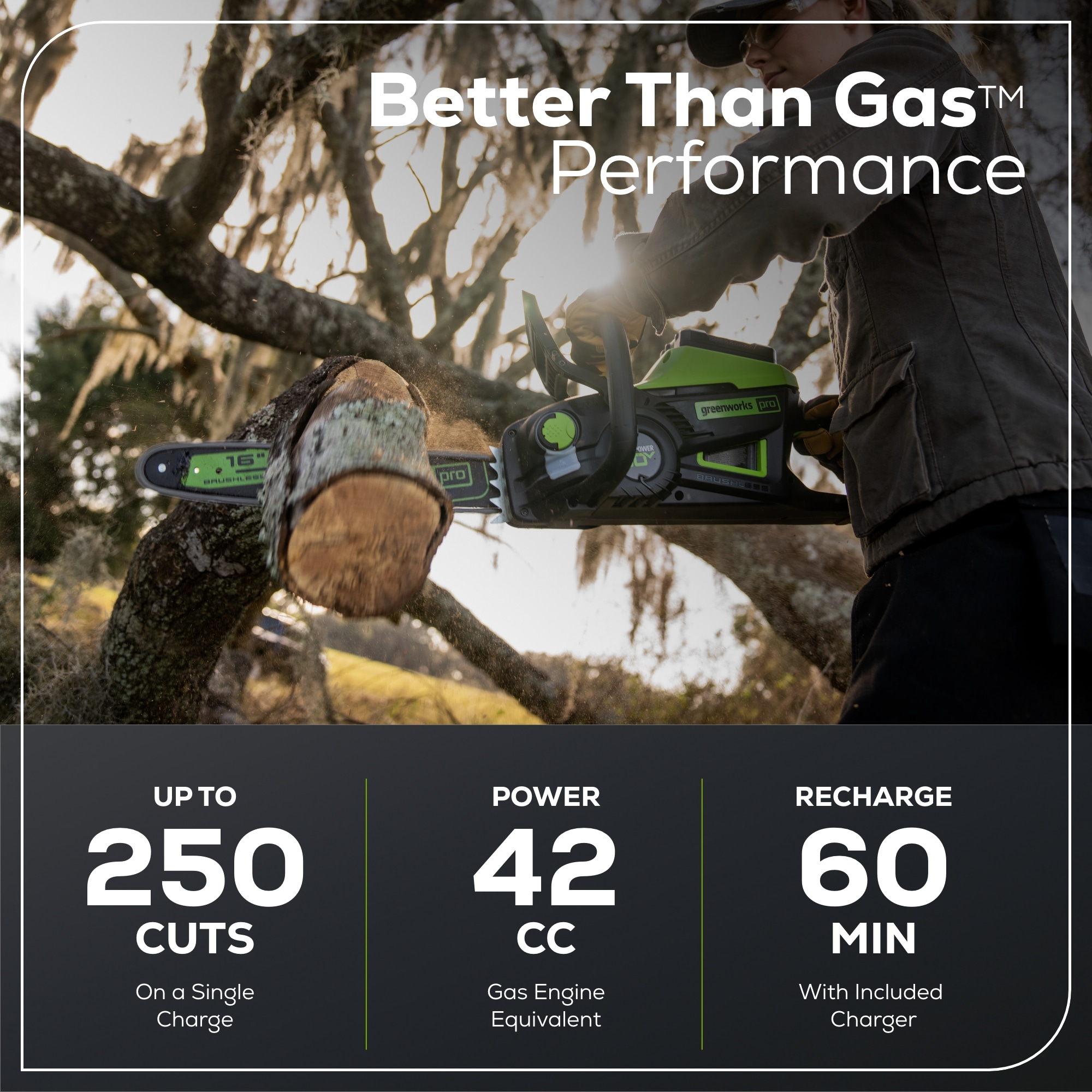Greenworks CS80L05 Cordless-Chainsaw - View #3