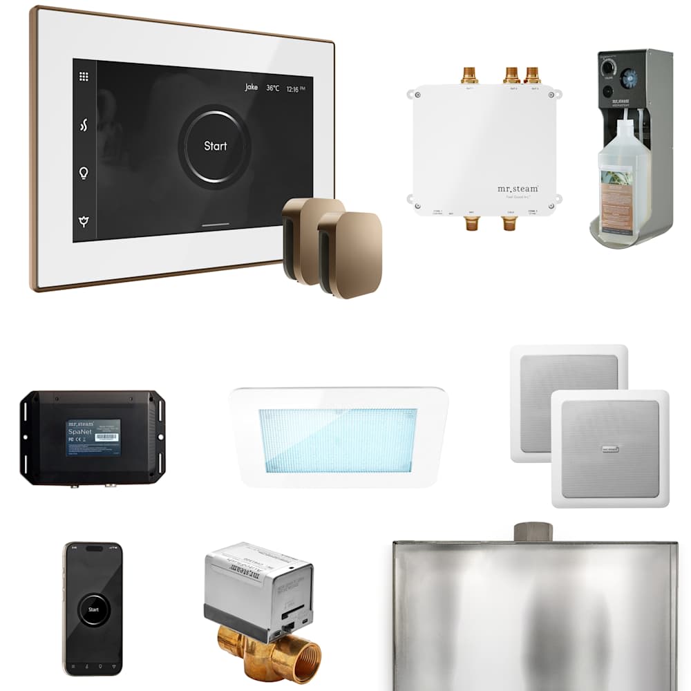  BLS1X Bliss Max Package Steam Shower Control Package with Isteamx Control and Steamhead
