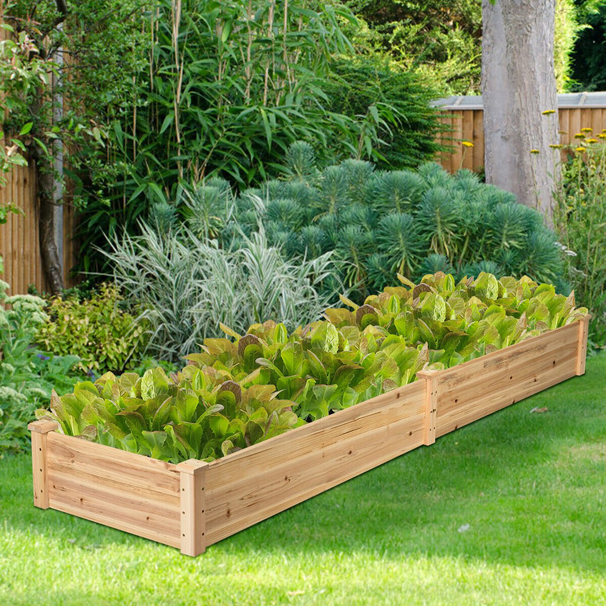 Costway GT2935 Raised-Garden-Beds - View #2