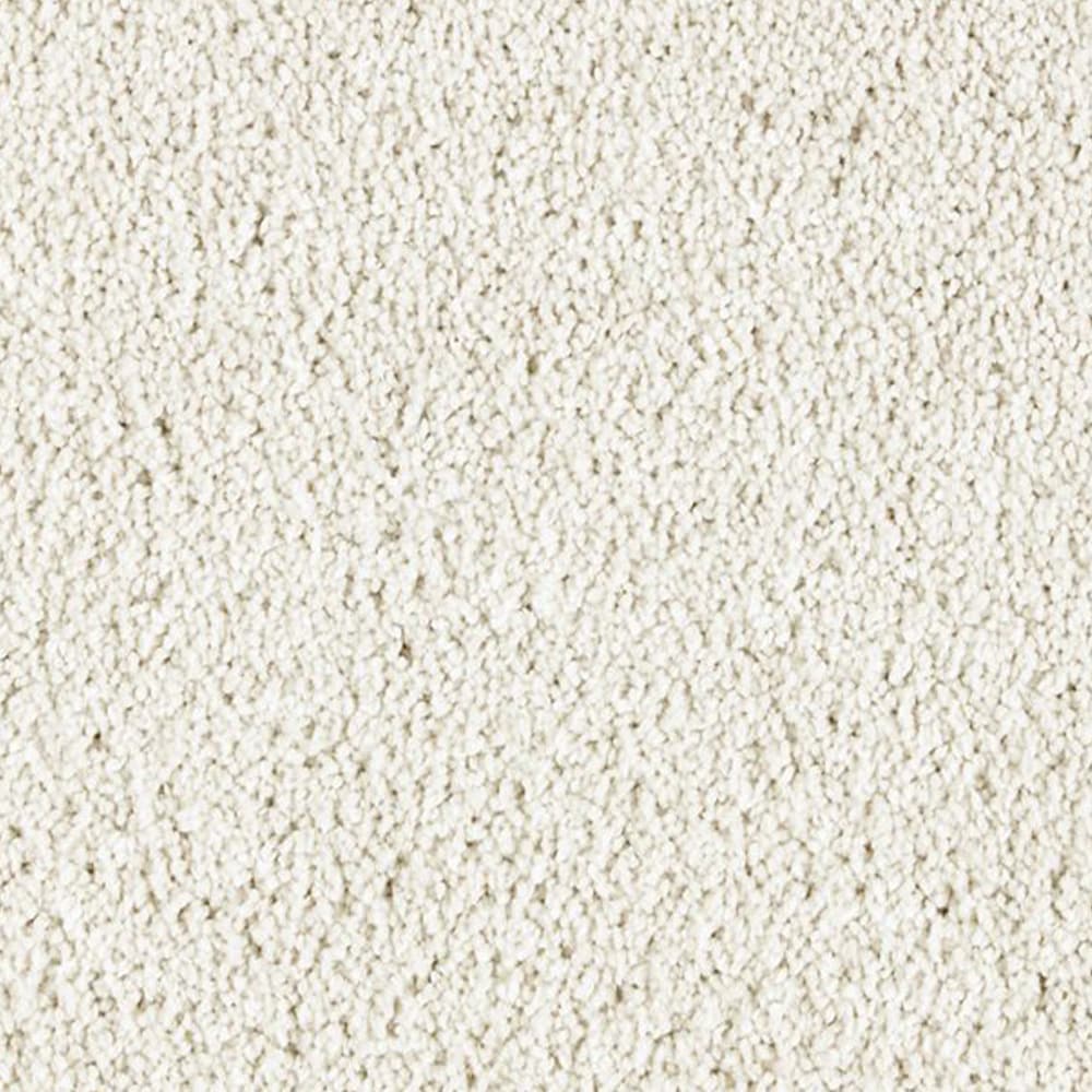 STAINMASTER PetProtect STP25-12-L009 Express Install Alluring splendor II Basketry Brown 58-oz sq yard Triexta Textured Indoor Carpet