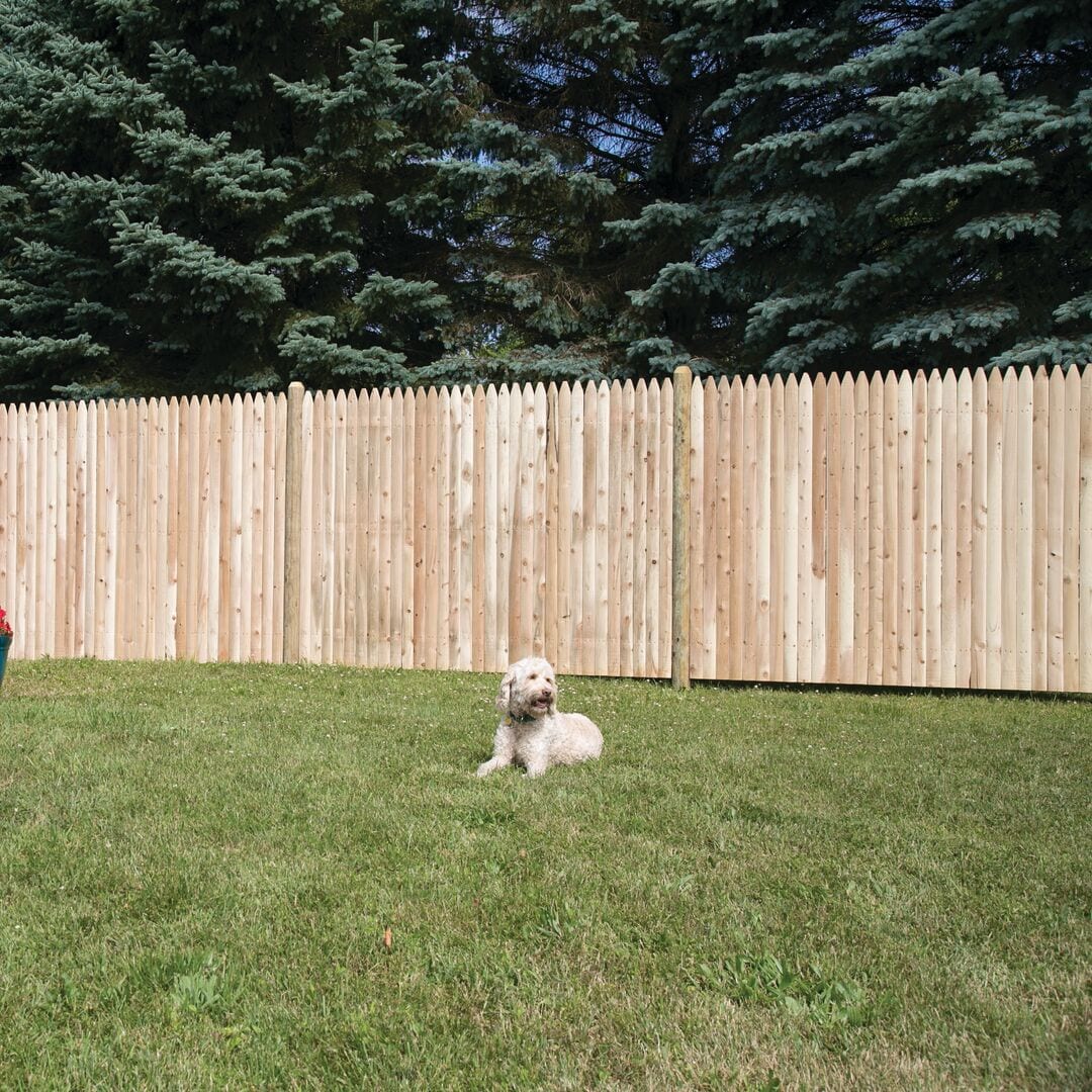  73000506 Wood-Fence-Panels - View #6