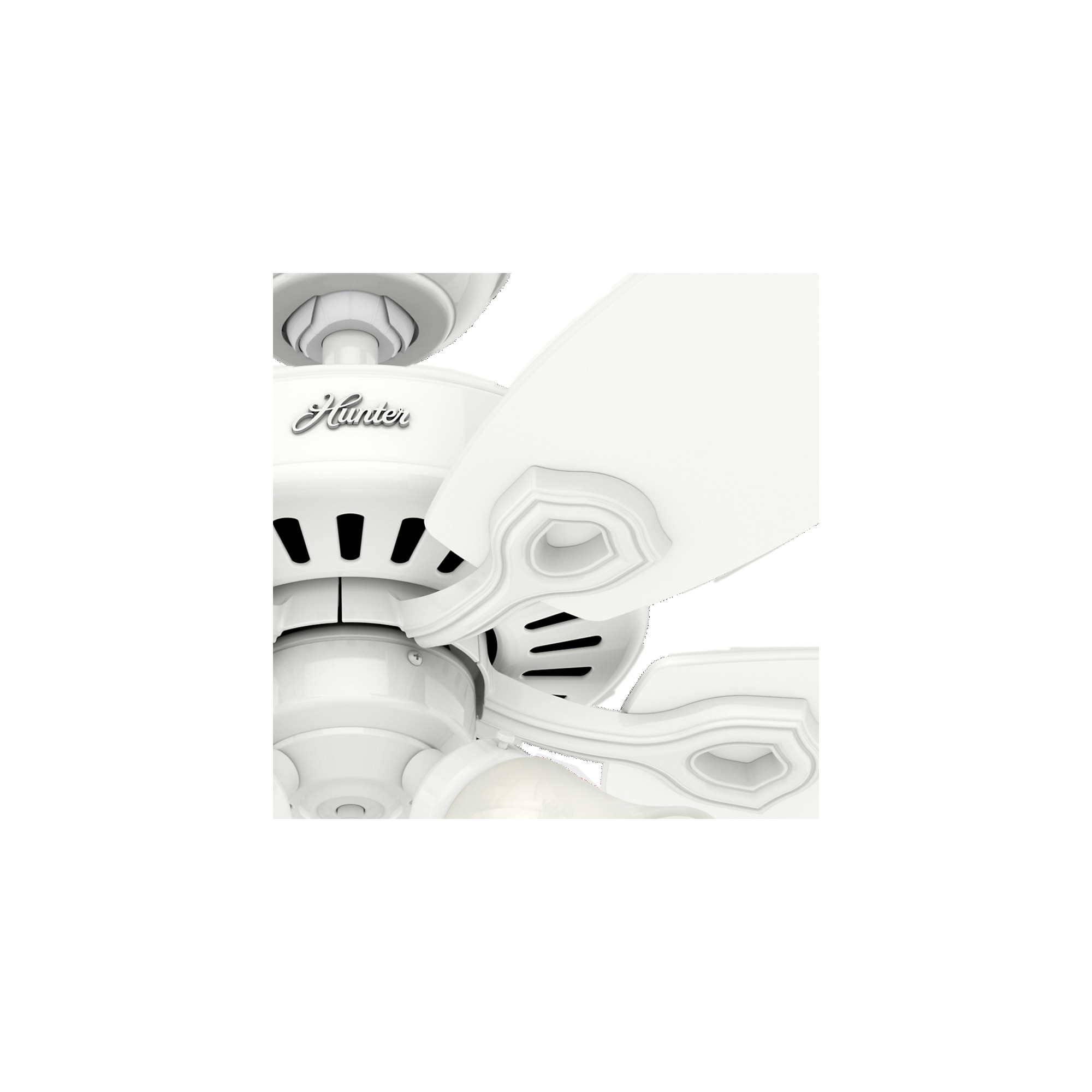 Hunter 53236 Ceiling-Fans - View #5