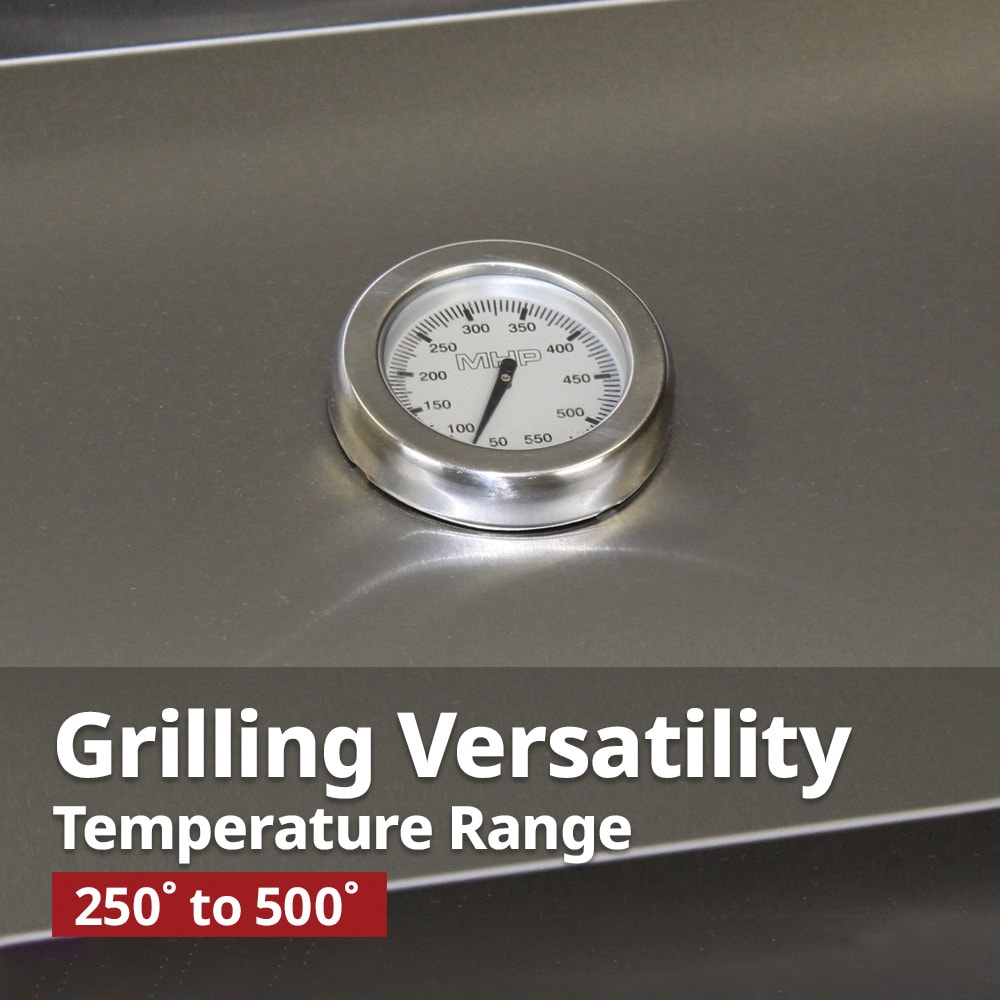 Phoenix SDRIVDD-N Gas-Grill - View #8