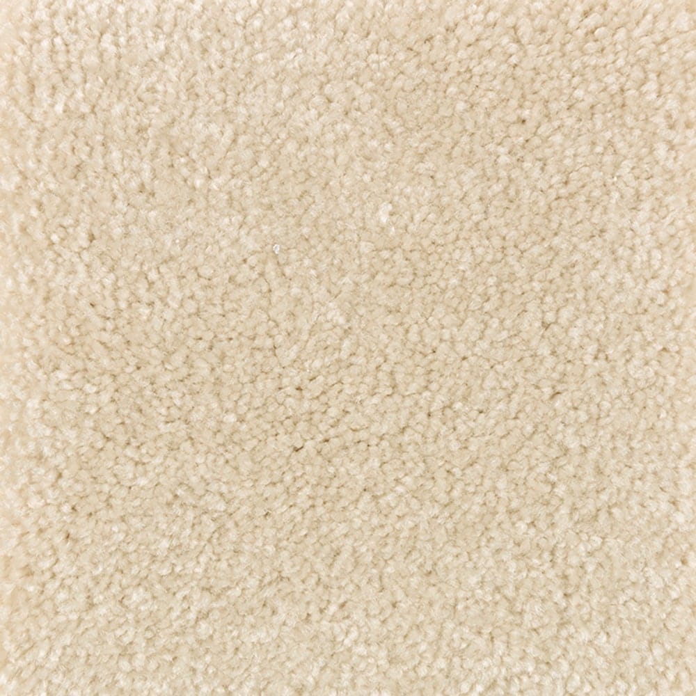 STAINMASTER PetProtect SS007-L012-0808 (Sample) Right Meow II Illuminating Brown 48-oz sq yard Triexta Textured Indoor Carpet