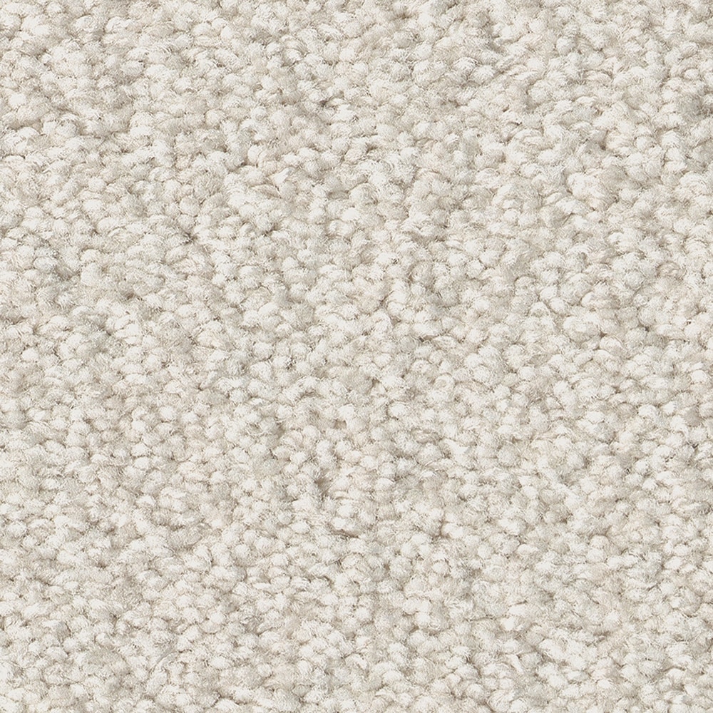 STAINMASTER PetProtect 7L85100153 Carefree Days Champagne Toast Off-white 43.9-oz sq yard Nylon Level loop Indoor Carpet