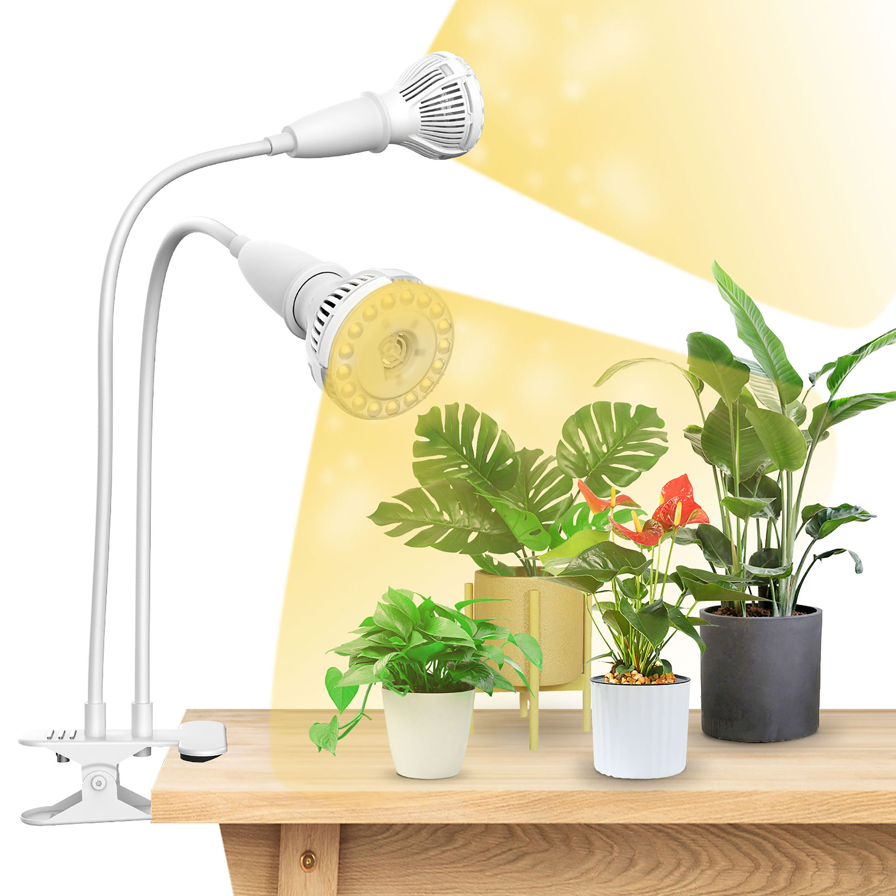 SANSI 01-03-001-011022 Grow-Lights - View #4