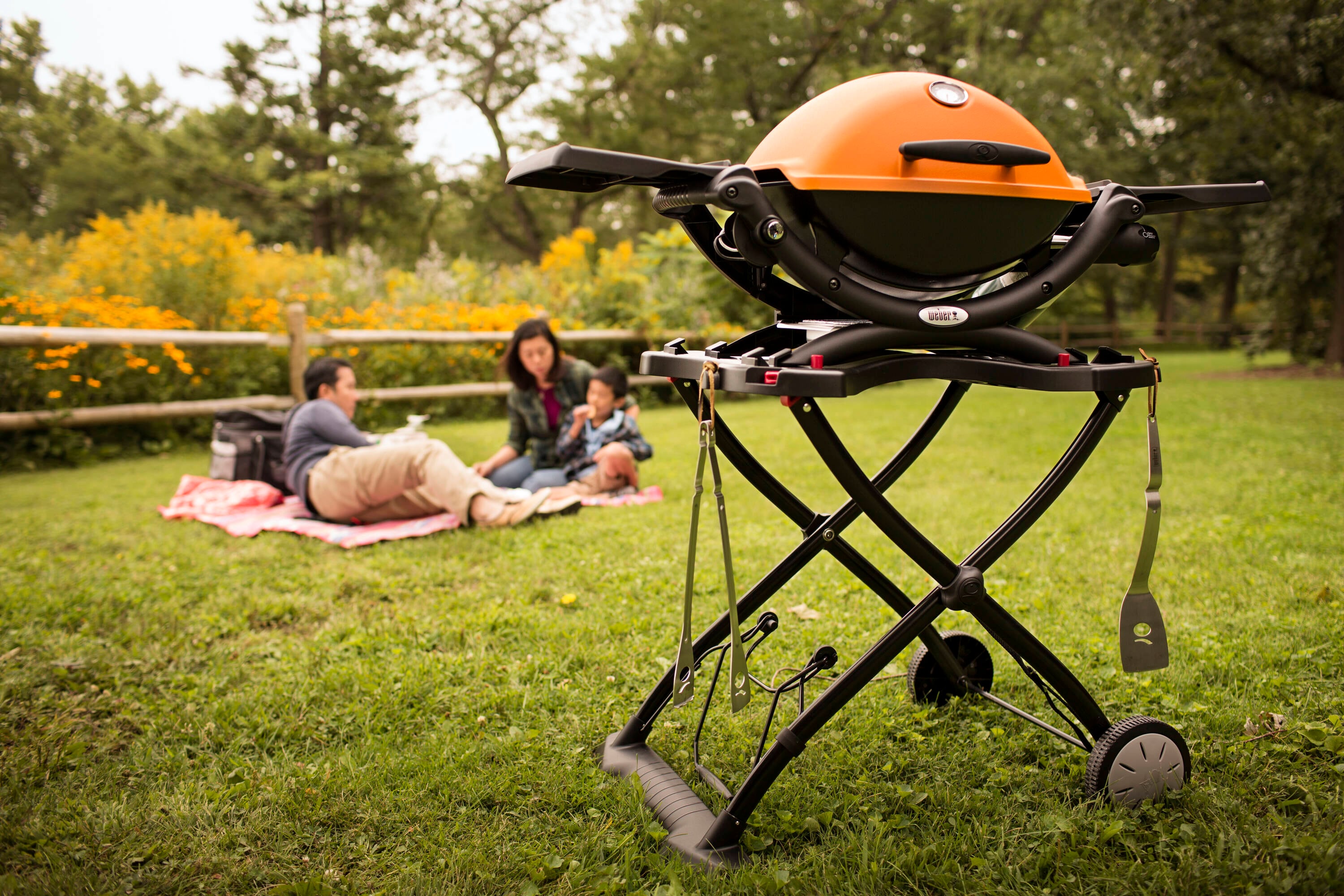 Weber 51190001 Tabletop-Grills - View #2