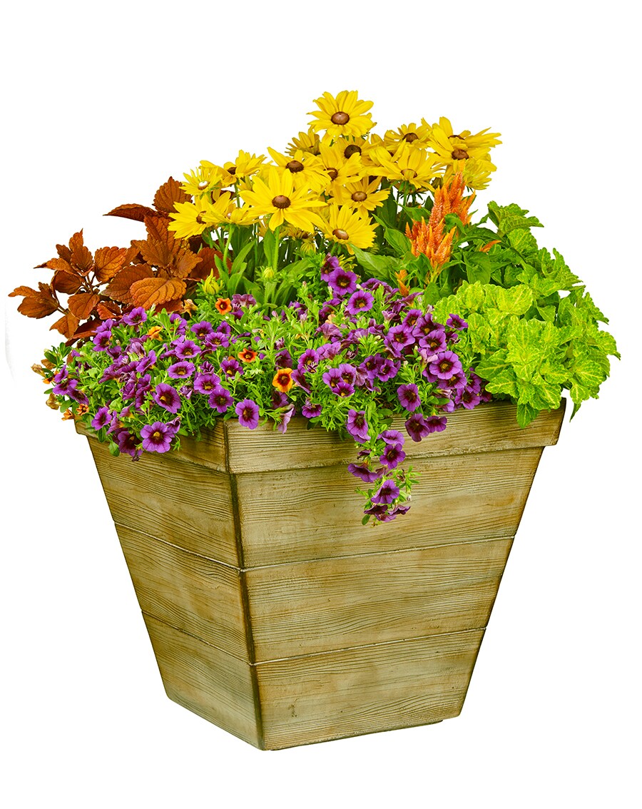 allen + roth PC7882WB Planter-Window-Box - View #8