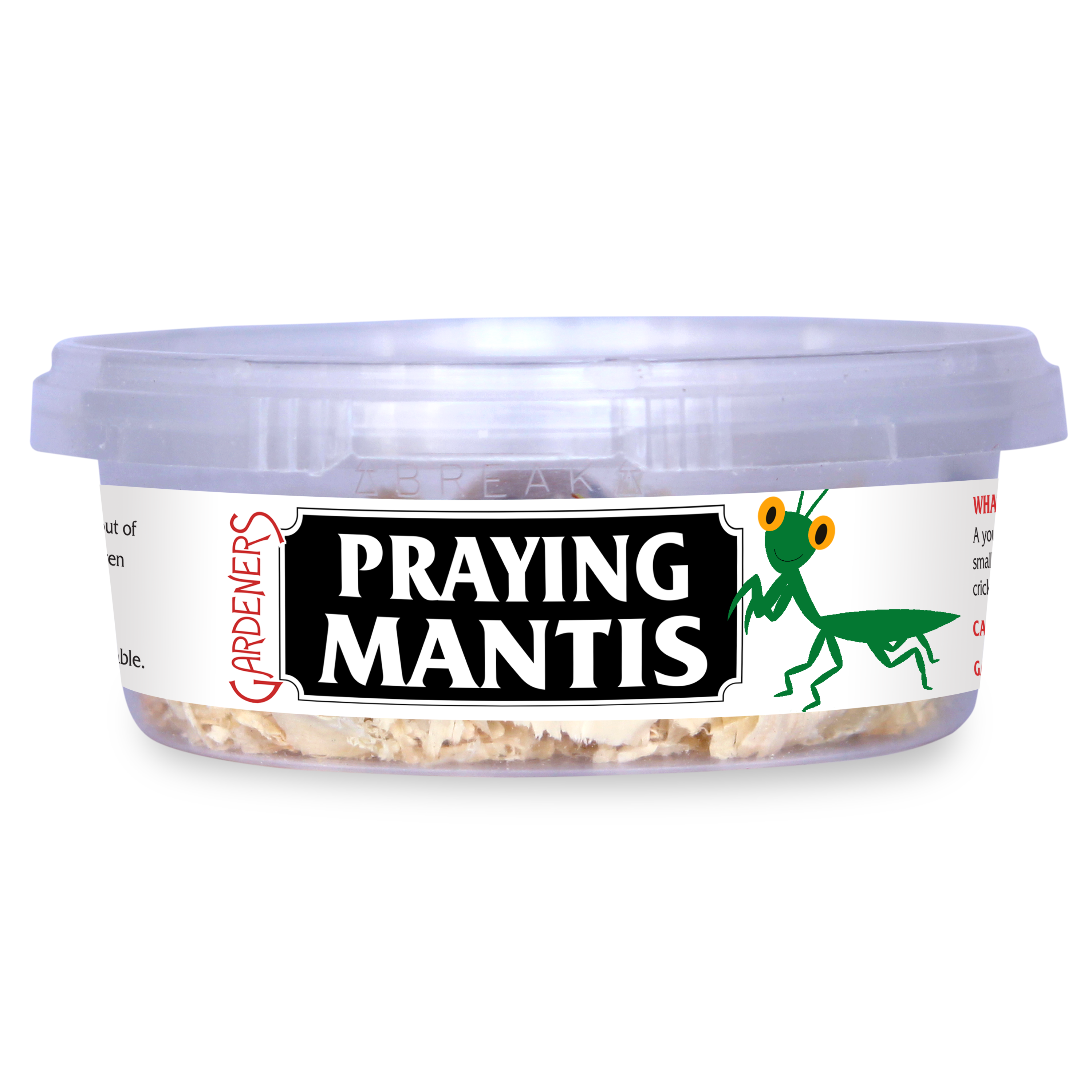 Gardeners PMG1 Praying mantis 1 Count