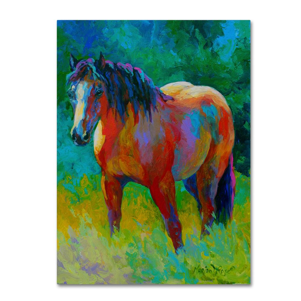 Trademark Fine Art ALI7700-C1824GG Framed 24-in H x 18-in W Animals Print on Canvas